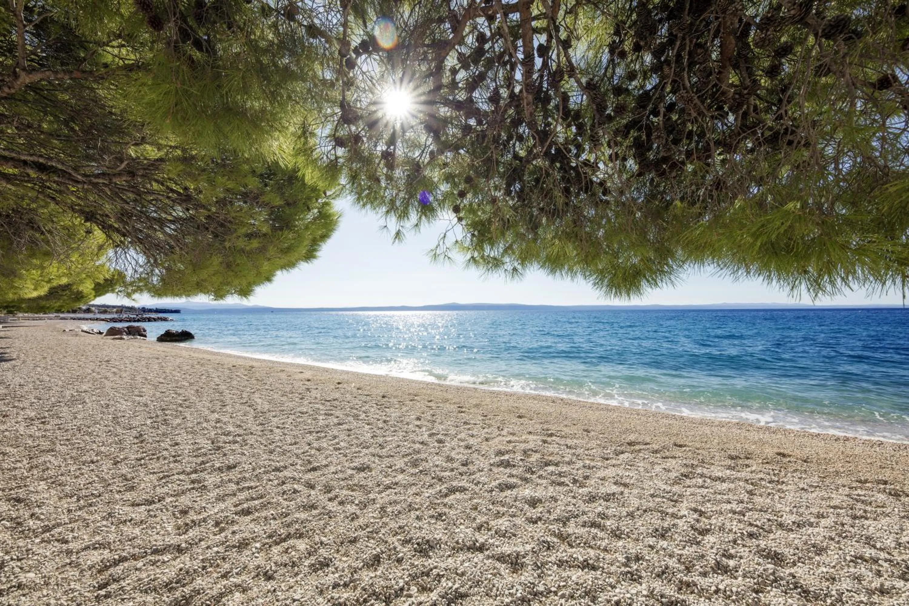 Natural landscape in Bluesun Holiday Village Afrodita
