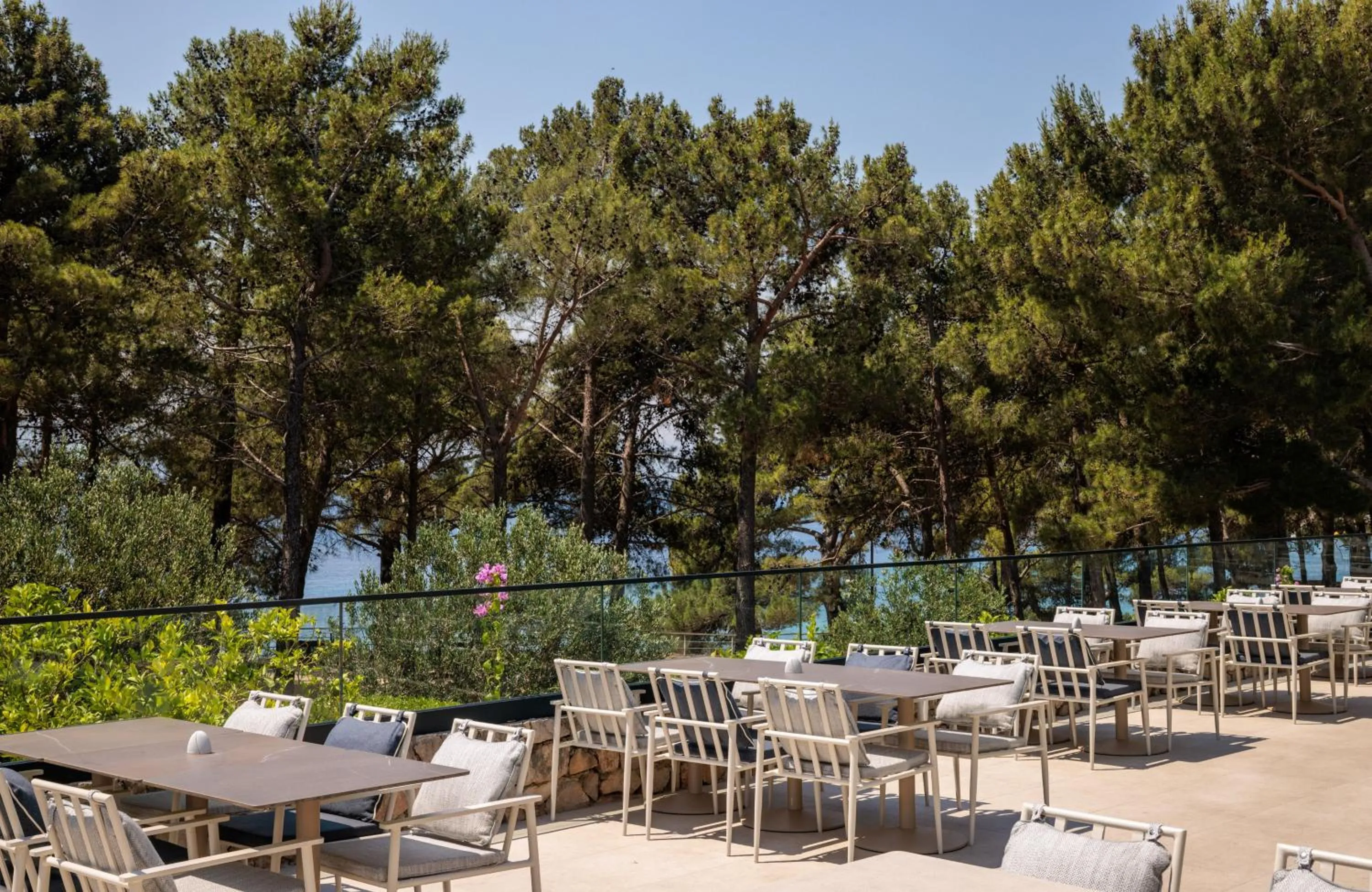 Restaurant/places to eat in Bluesun Hotel Elaphusa