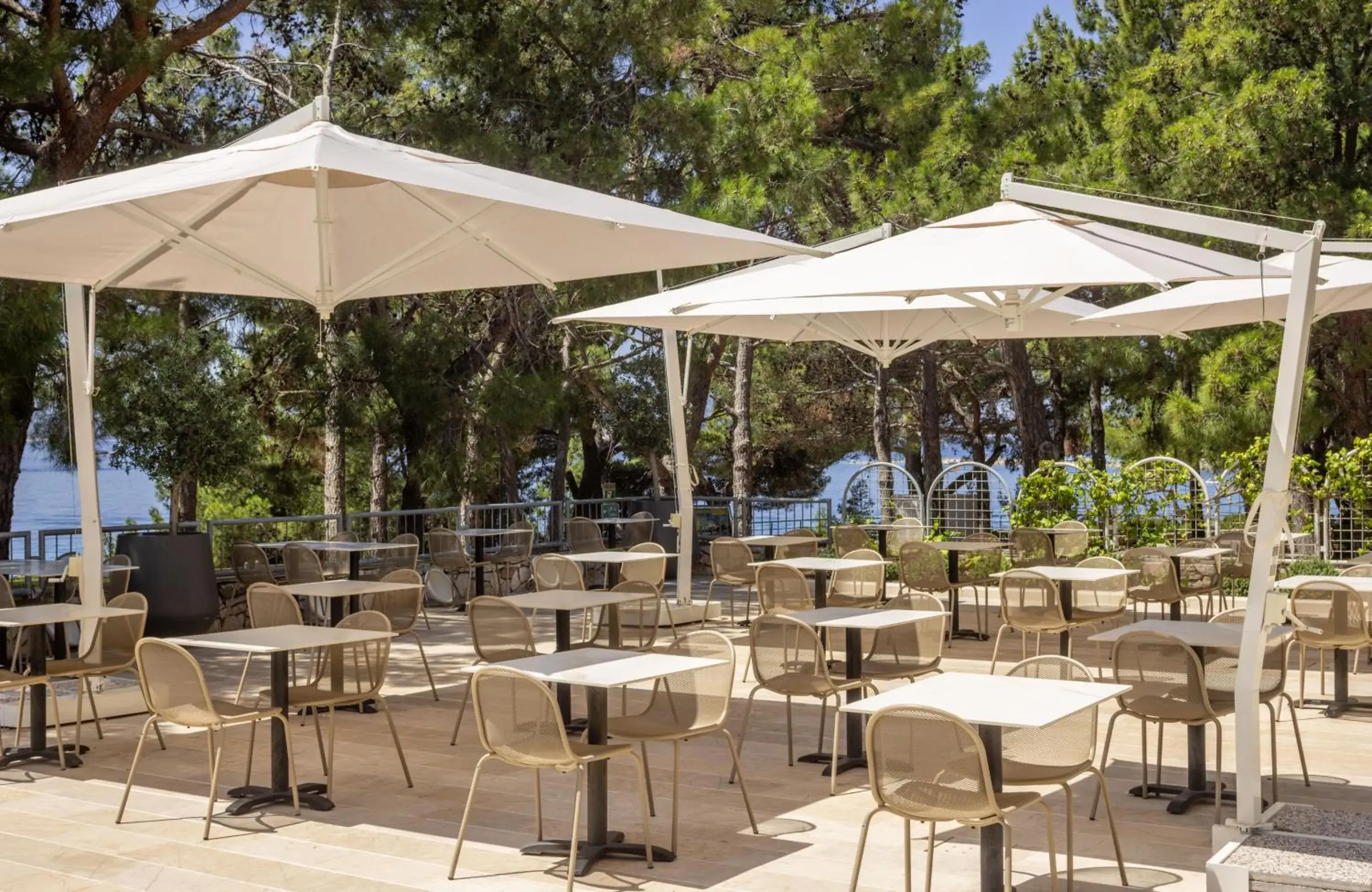 Restaurant/places to eat in Bluesun Hotel Borak Restaurant/places to eat in Bluesun Hotel Borak