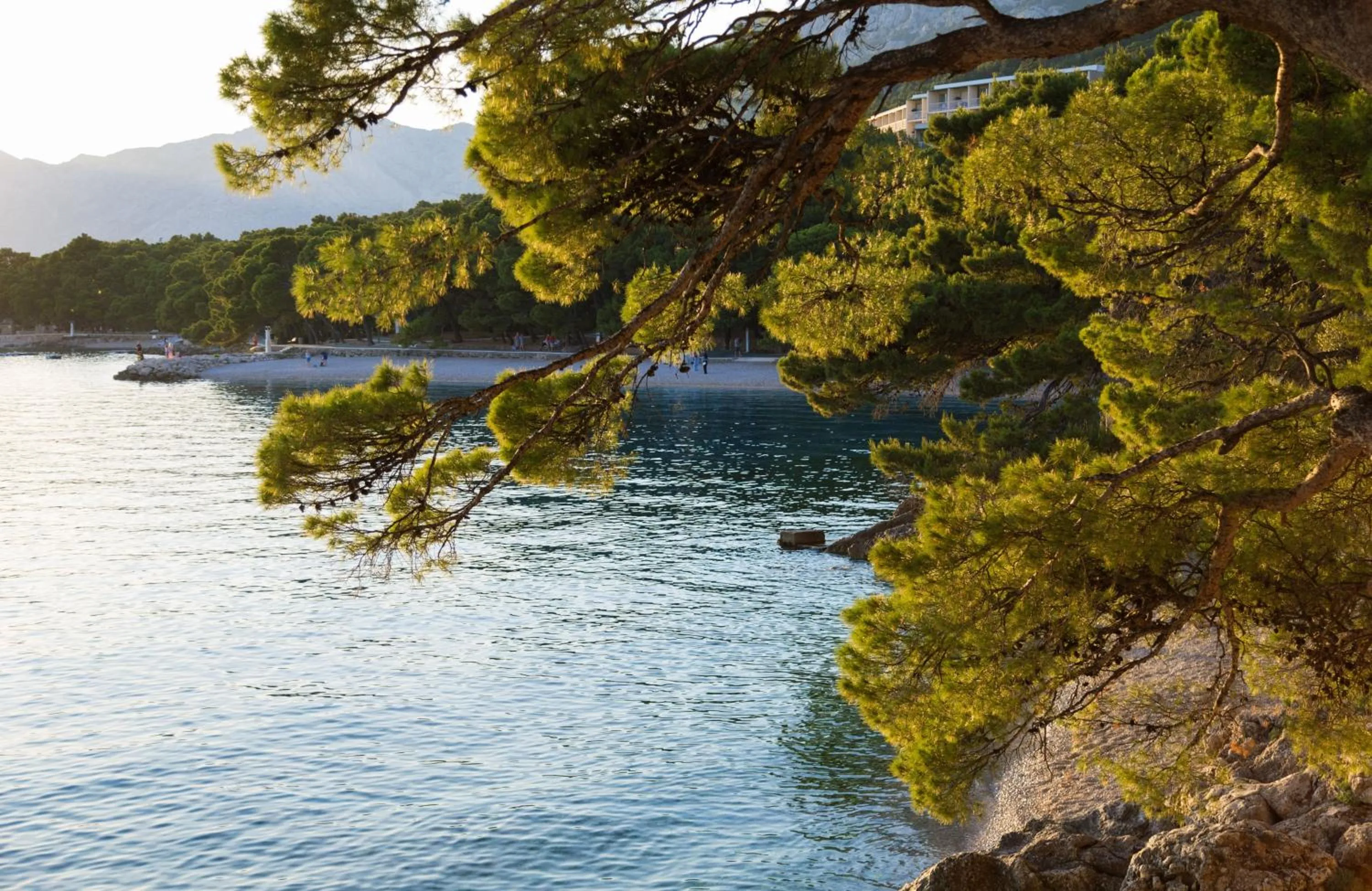 Beach in Bluesun Hotel Soline