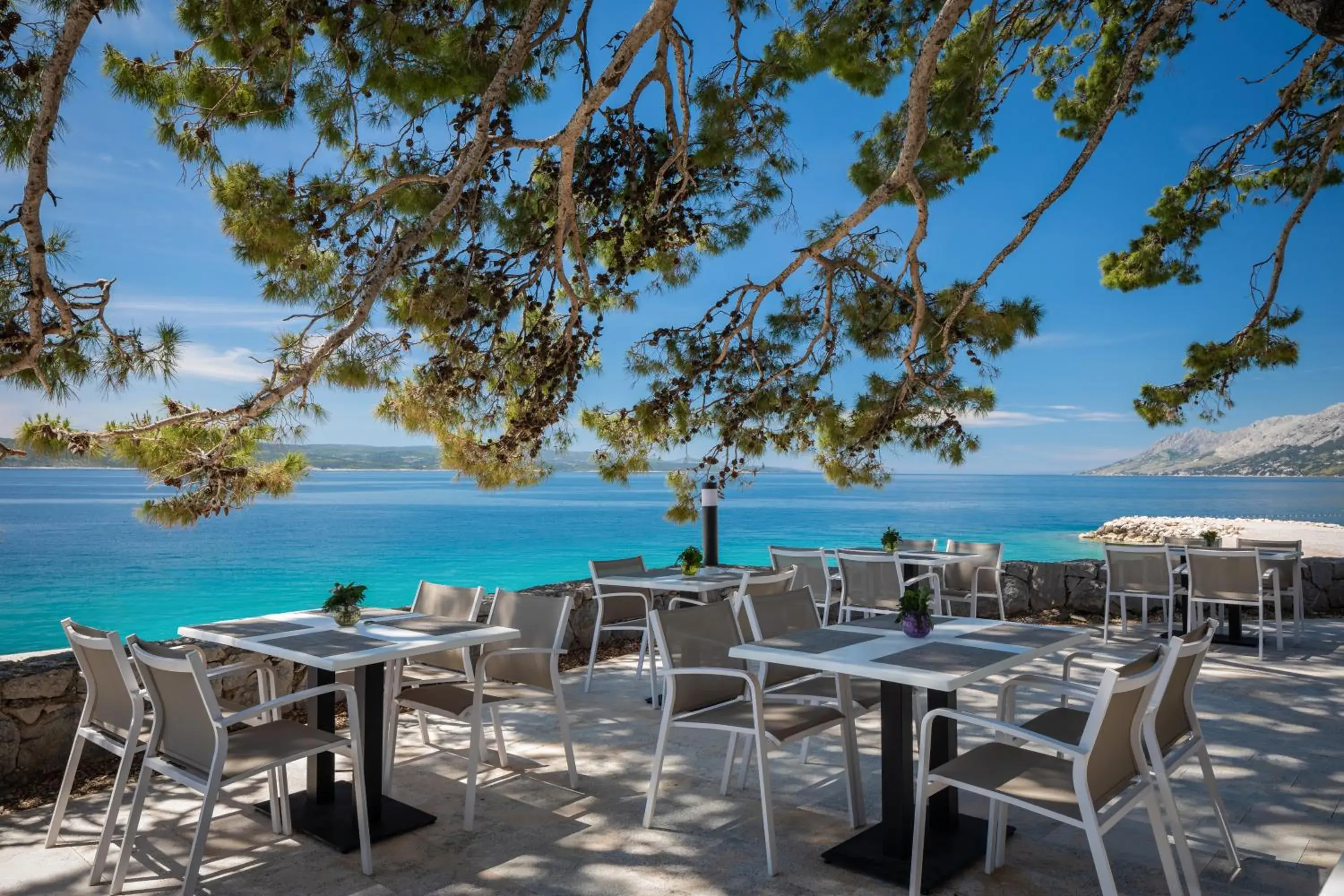 Restaurant/places to eat in Bluesun hotel Berulia Restaurant/places to eat in Bluesun hotel Berulia