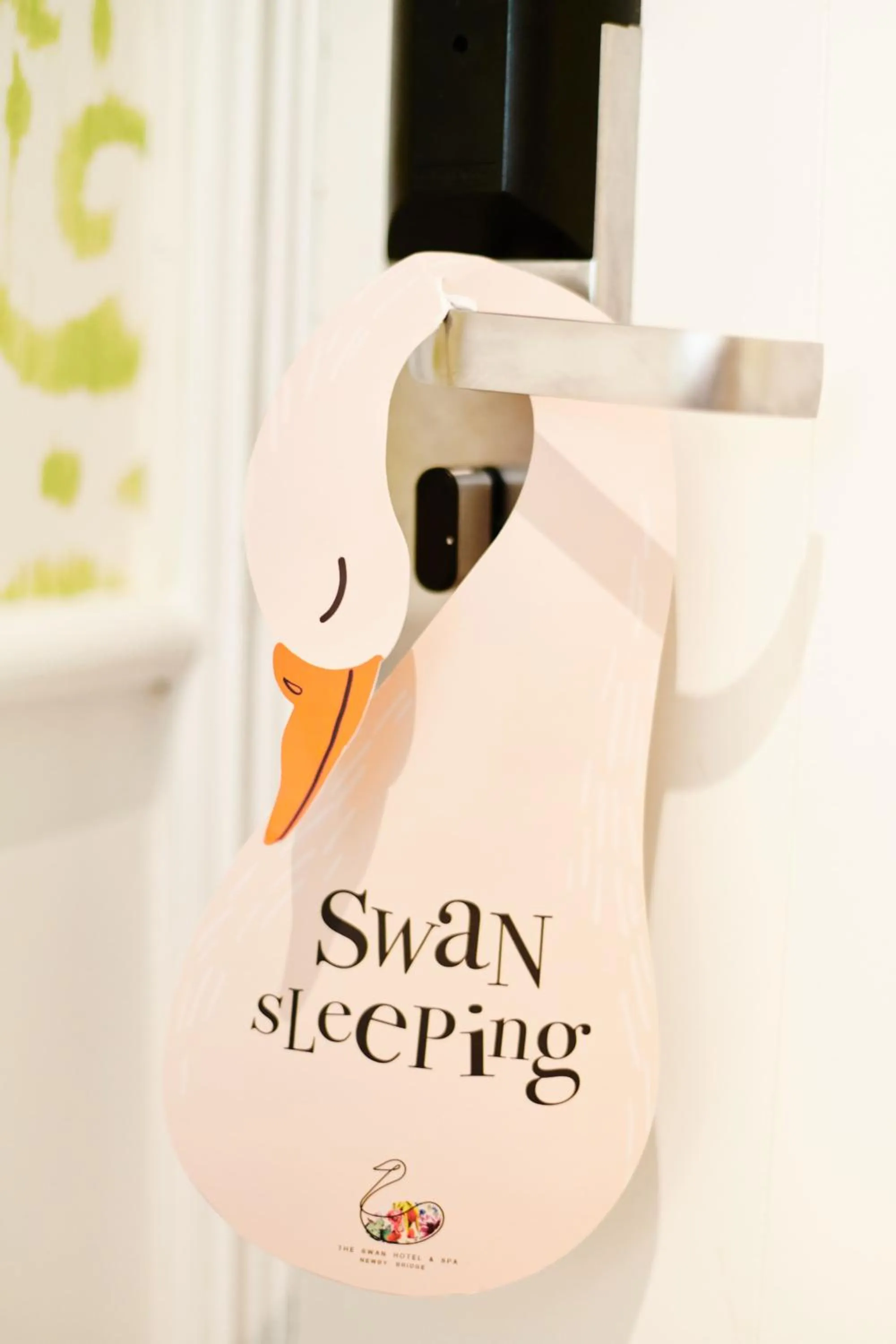 The Swan Hotel and Spa