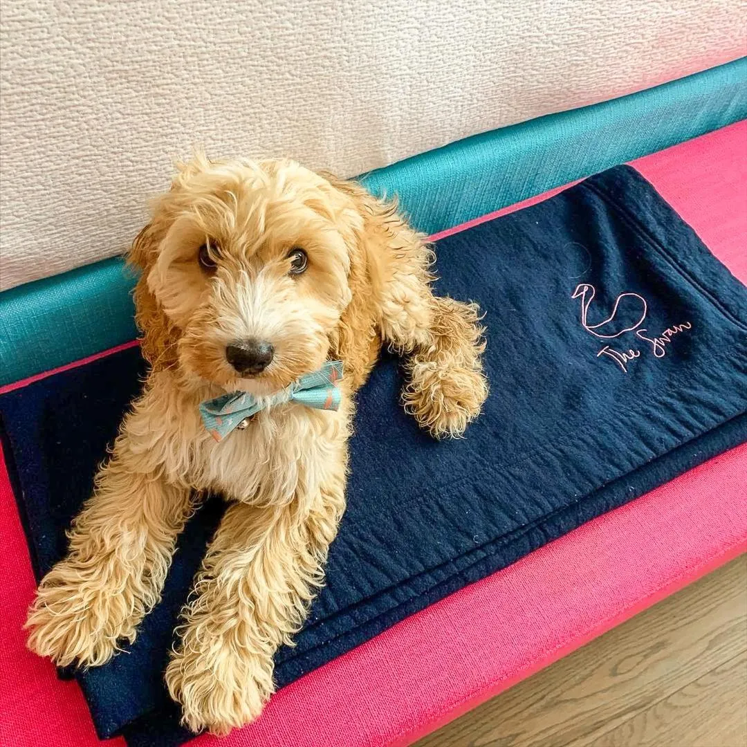 The Swan Hotel and Spa