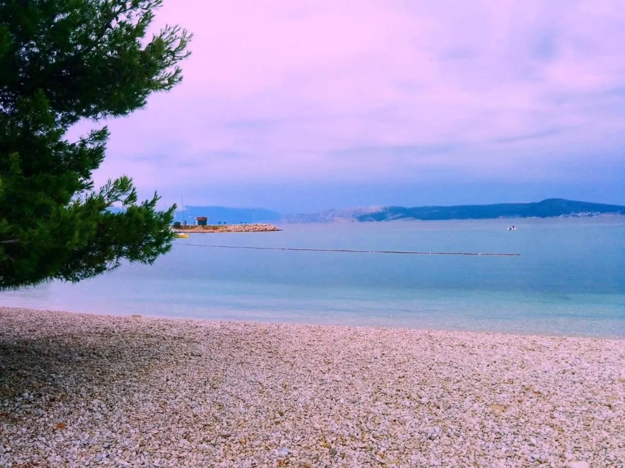 Natural landscape in Hotel Abalone