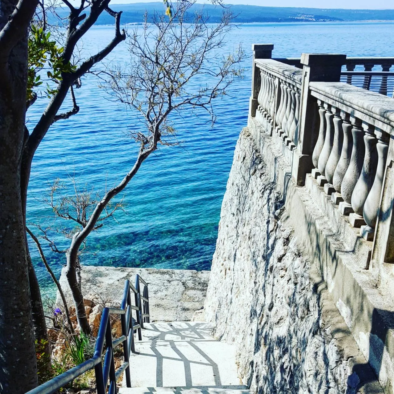 Natural landscape in Hotel Abalone