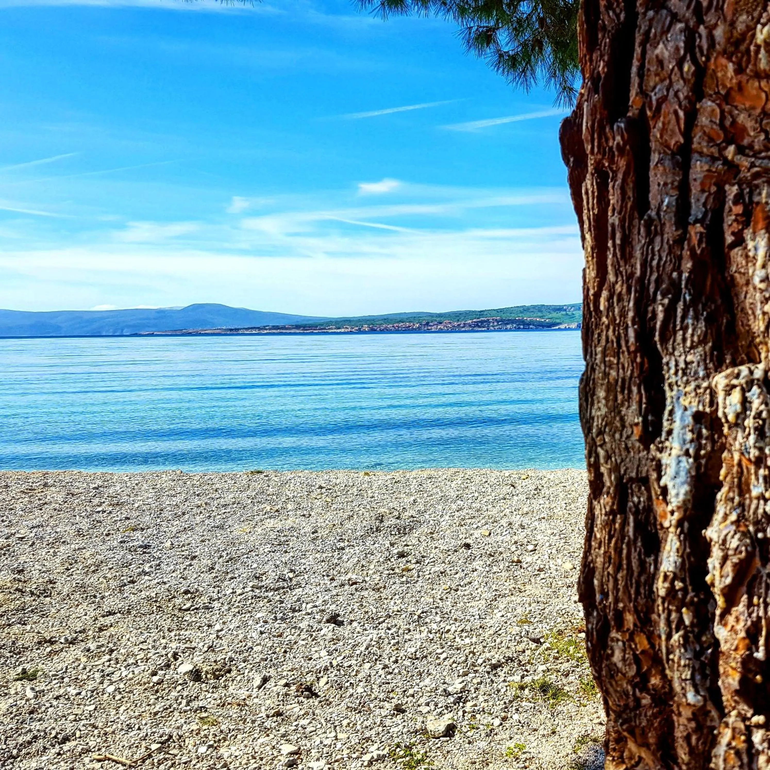 Natural landscape in Hotel Abalone