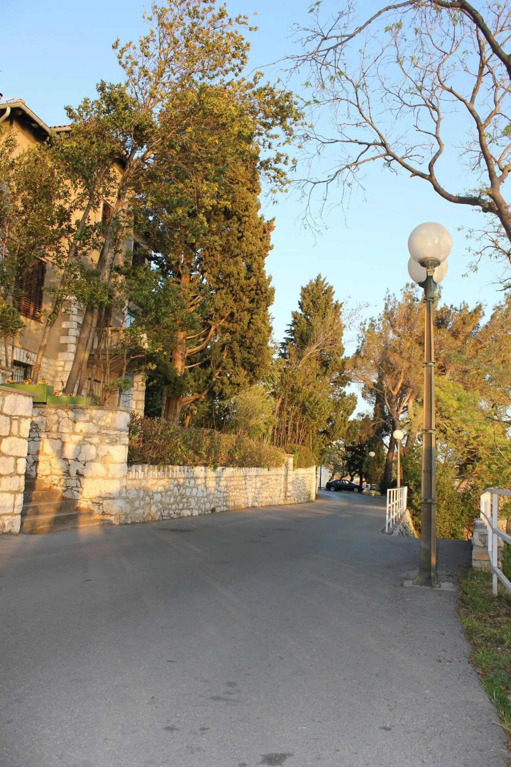 Natural landscape in Hotel Abalone
