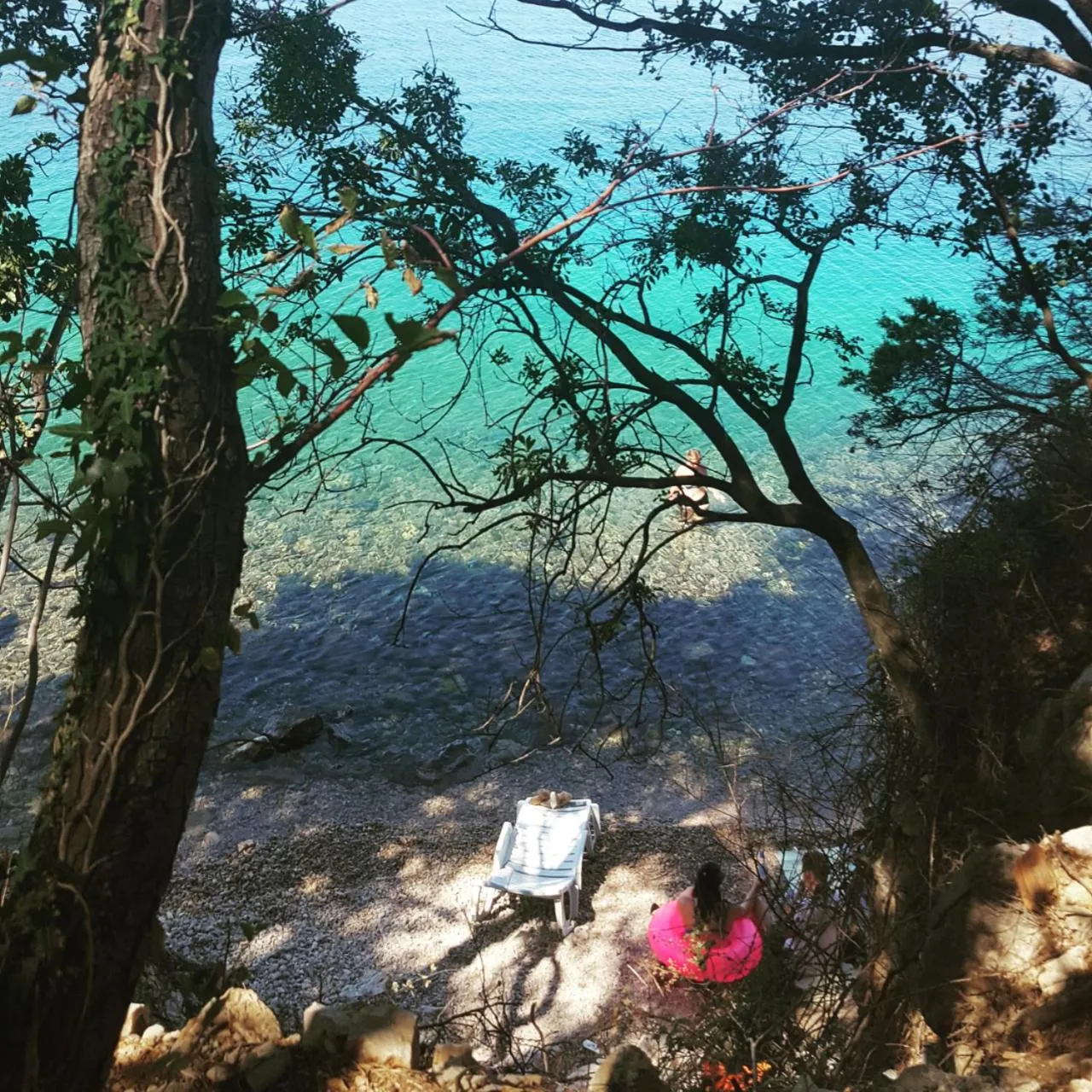 Natural landscape in Hotel Abalone