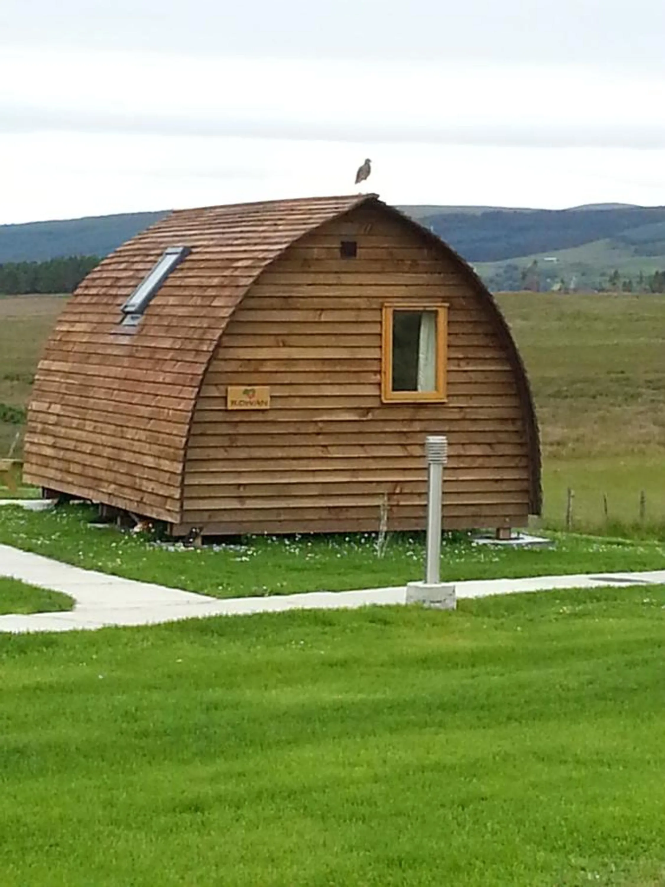 Animals in Loch Shin Glamping Pods