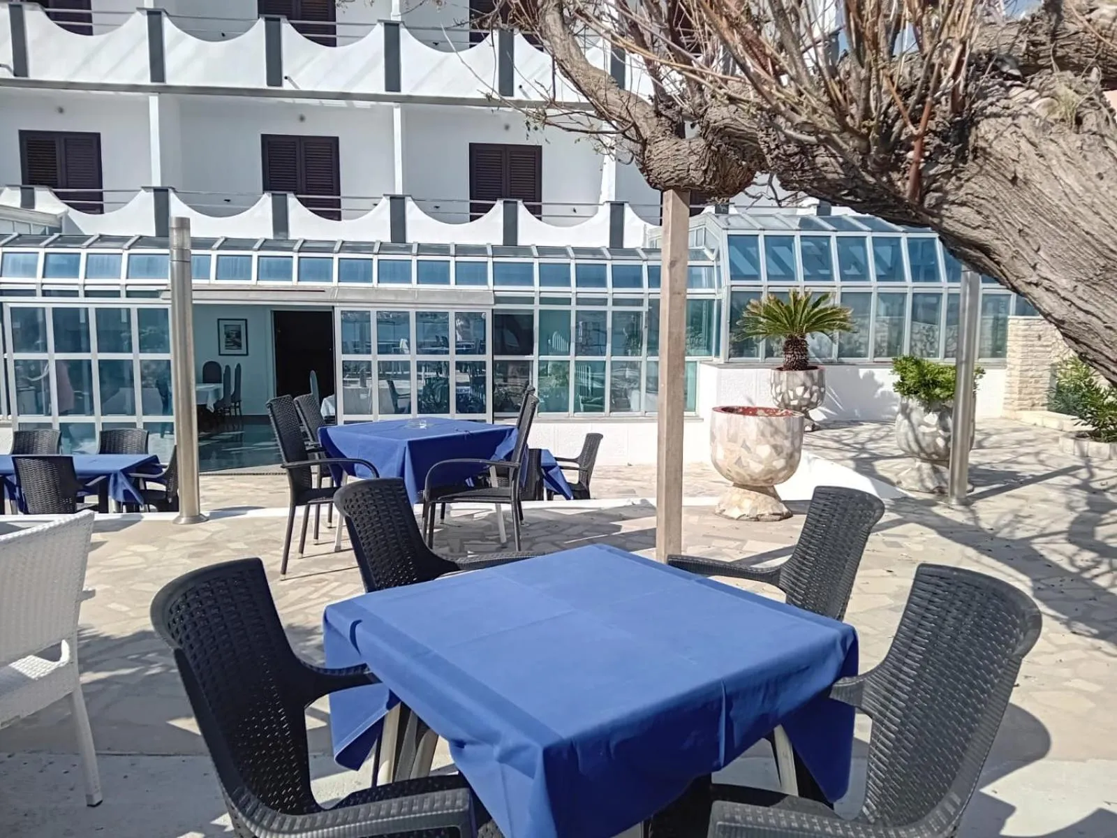 Restaurant/places to eat in Hotel Biser