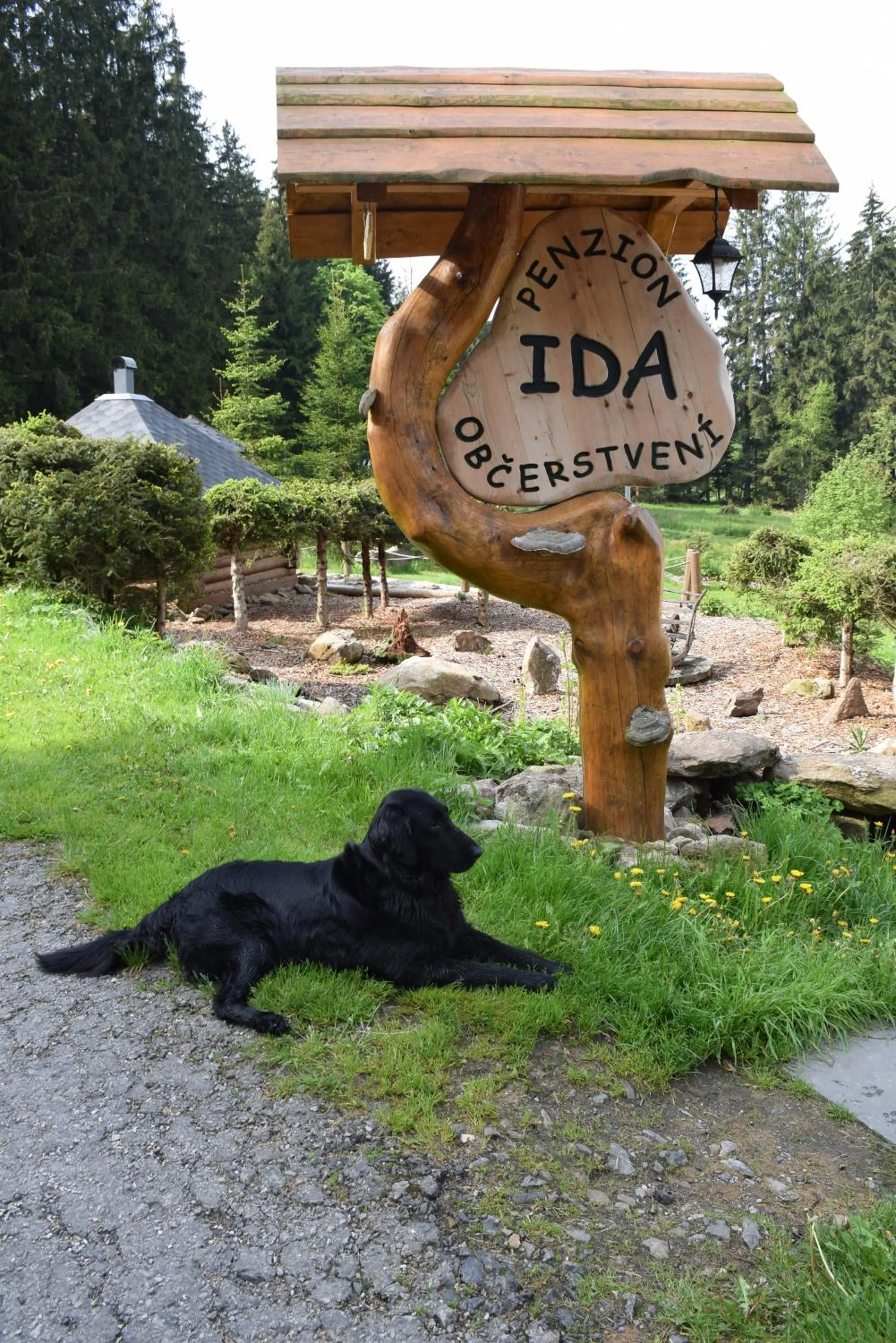 Garden in Penzion Ida