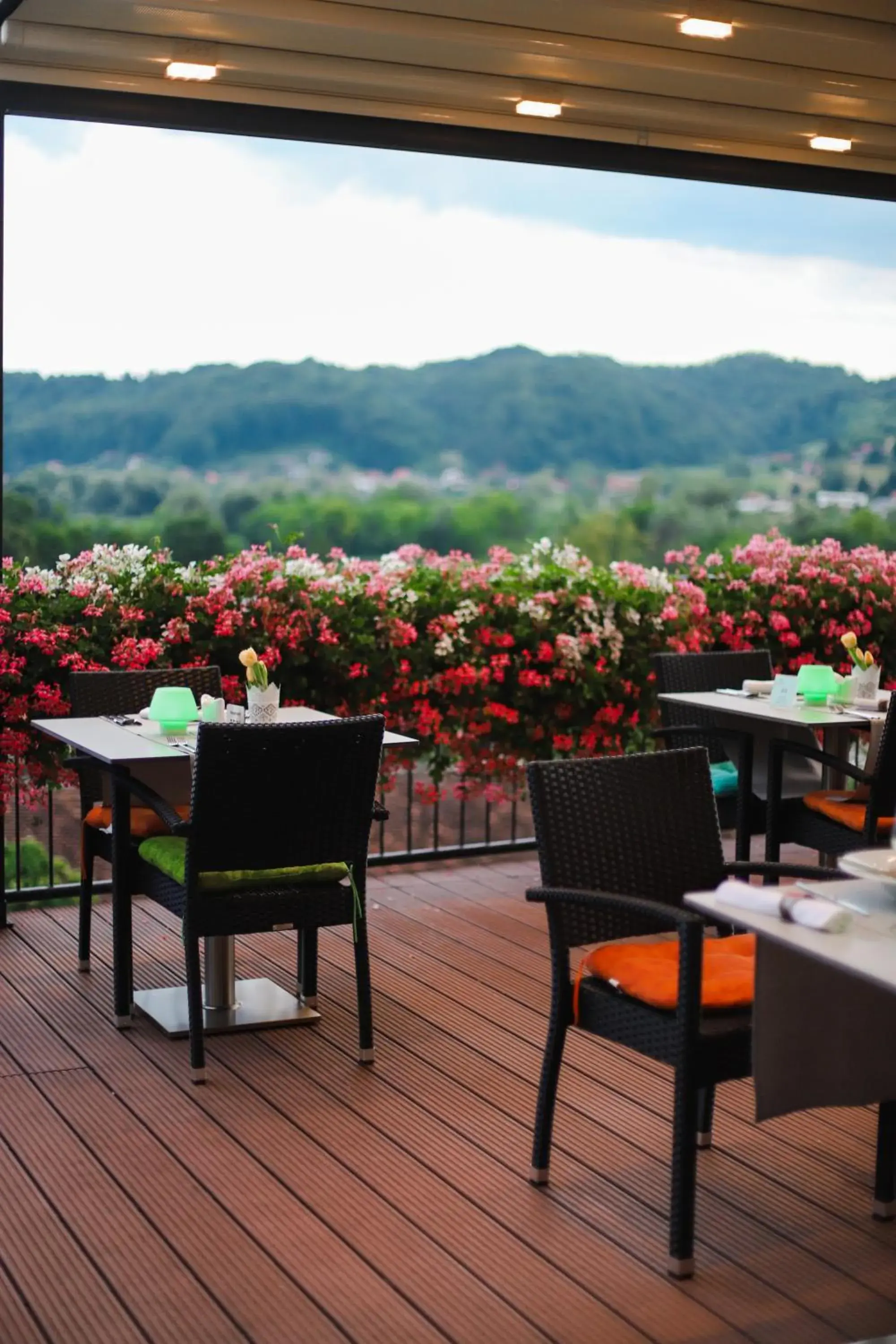 Restaurant/places to eat in Wellness Hotel Villa Magdalena Restaurant/places to eat in Wellness Hotel Villa Magdalena