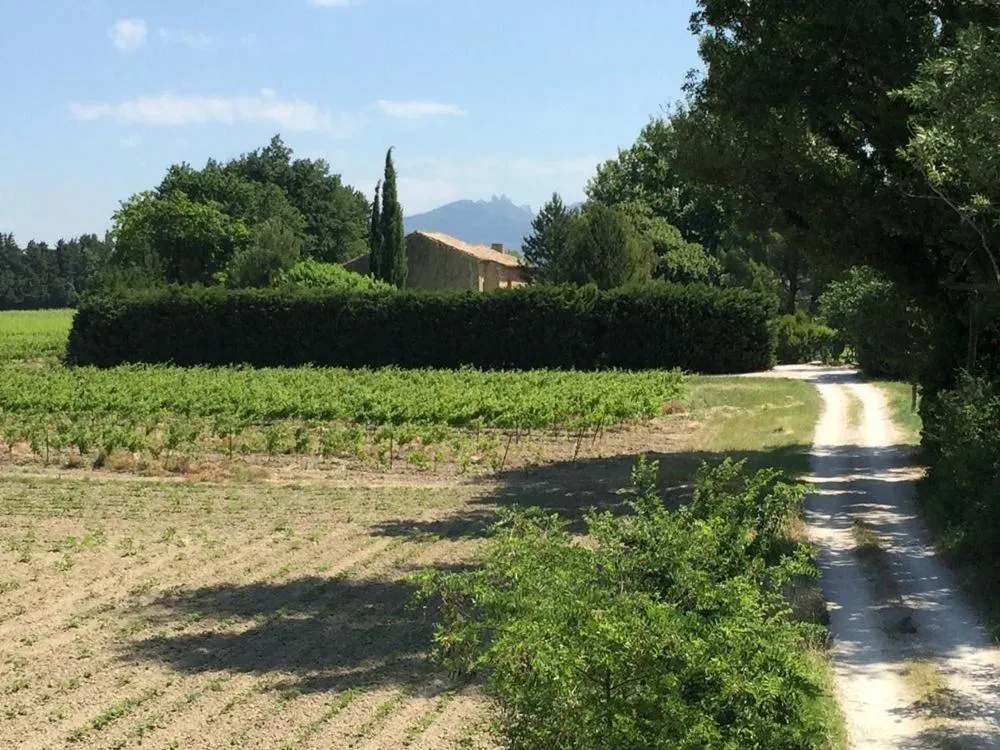 Street view in Mas du Clos de l'Escarrat