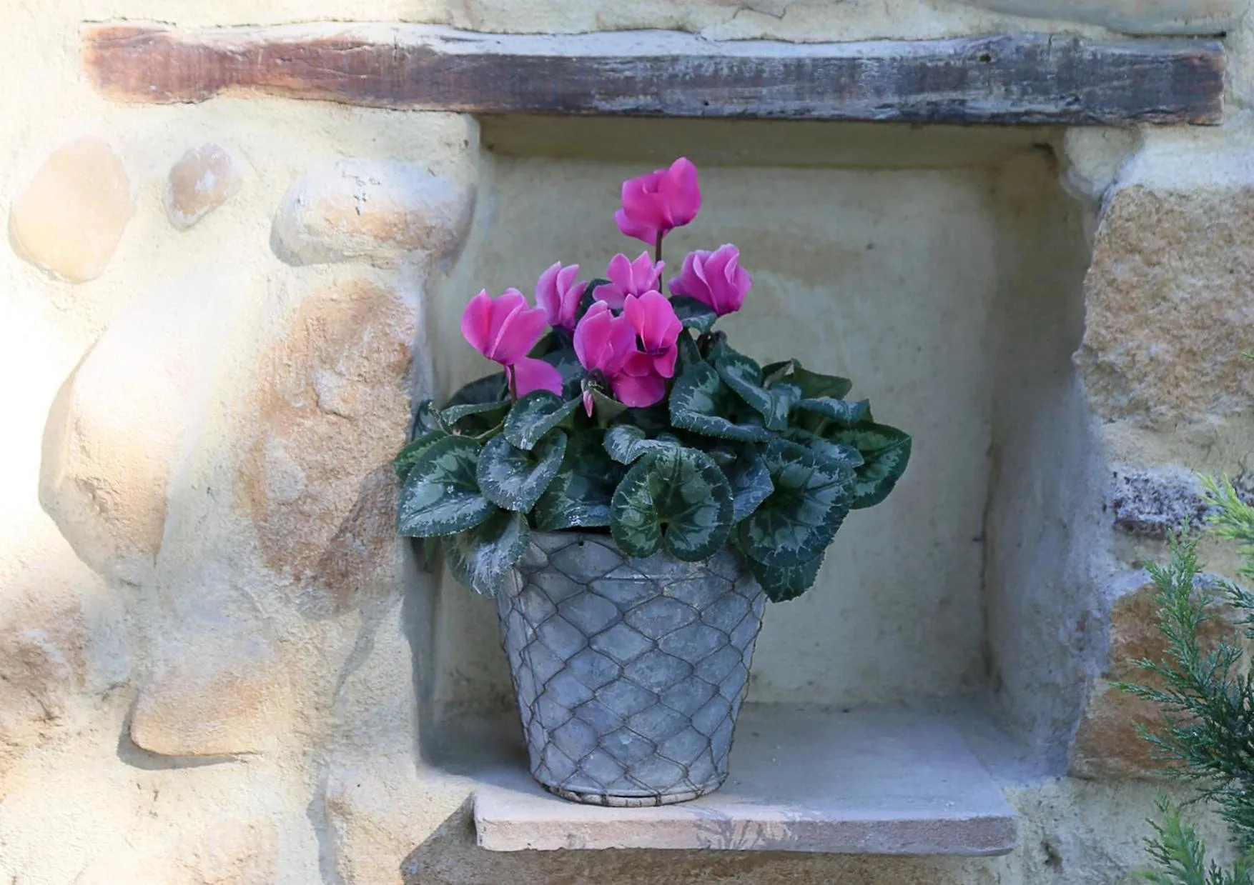 Decorative detail in Mas du Clos de l'Escarrat
