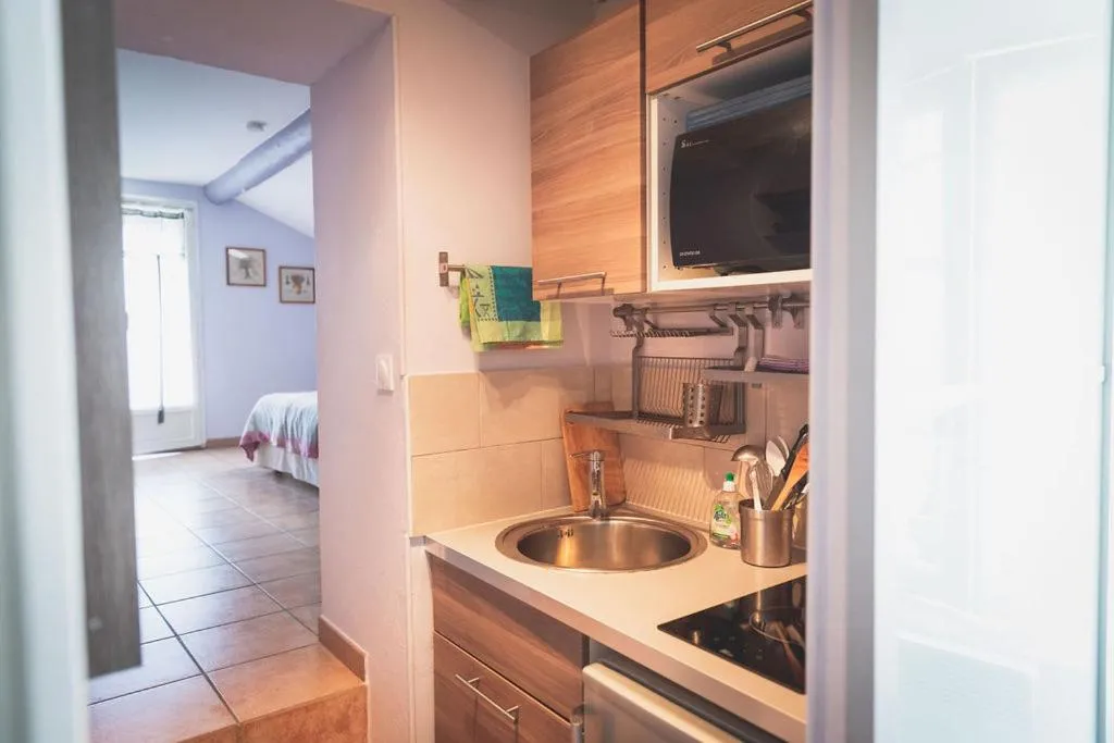 Kitchen or kitchenette in Mas du Clos de l'Escarrat