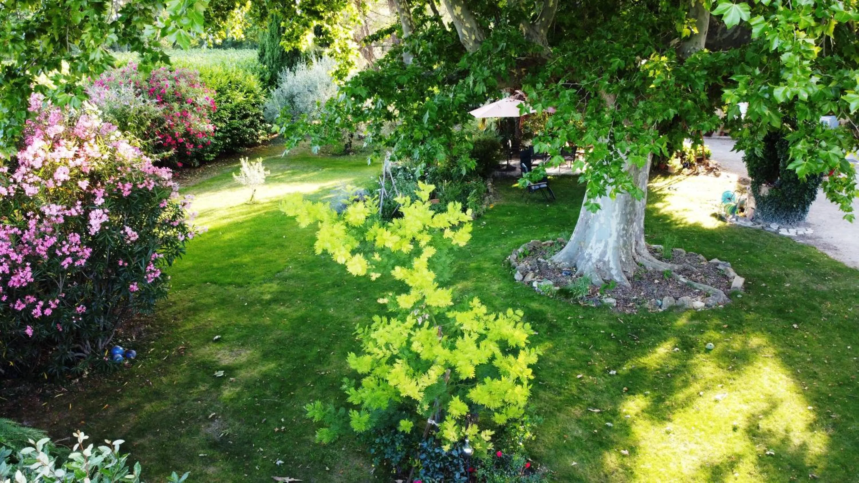 Garden in Mas du Clos de l'Escarrat
