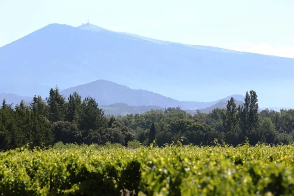 Landmark view in Mas du Clos de l'Escarrat