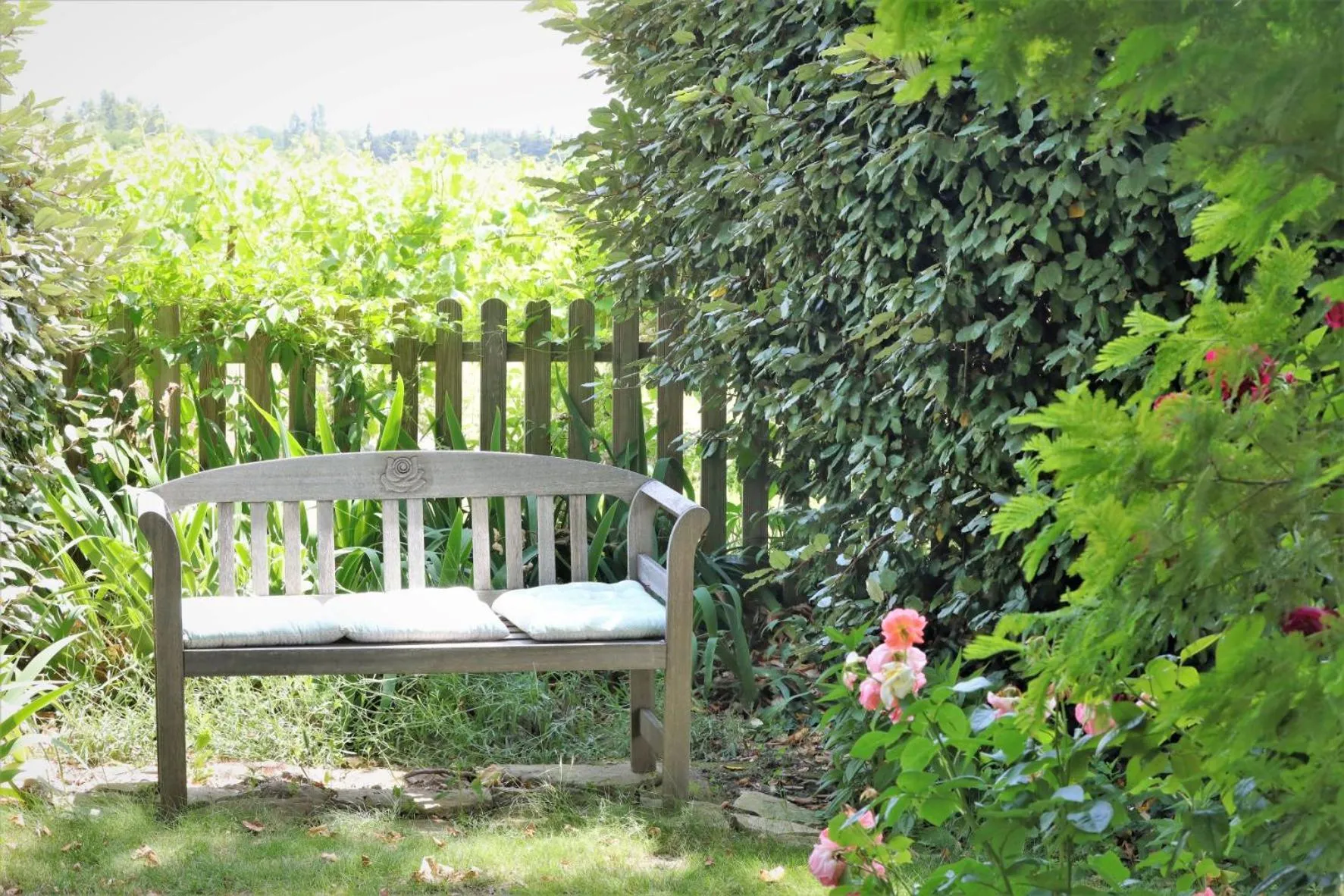 Garden in Mas du Clos de l'Escarrat