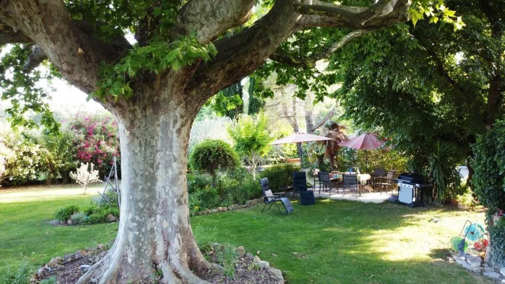 Garden in Mas du Clos de l'Escarrat