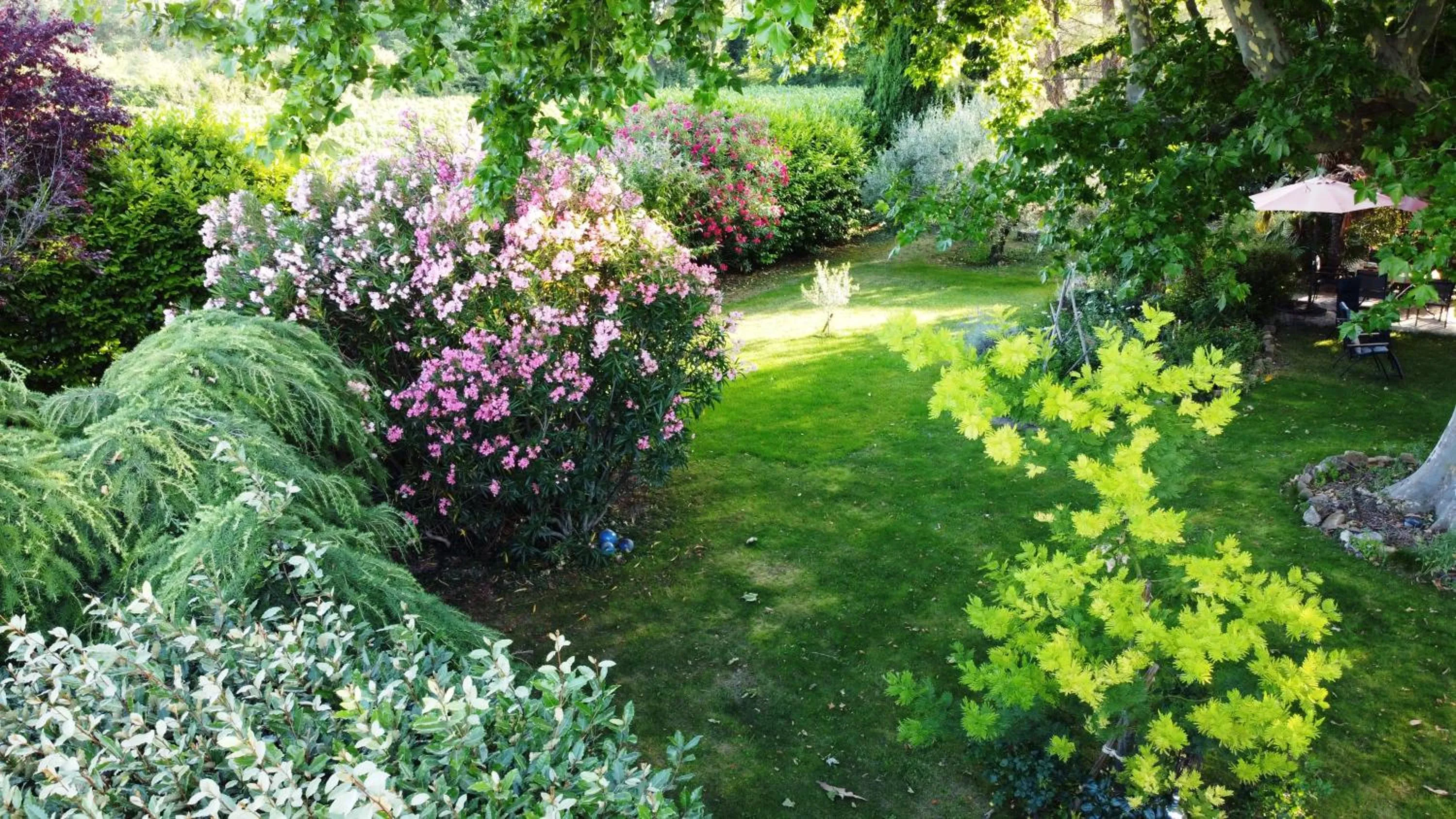 Garden view in Mas du Clos de l'Escarrat