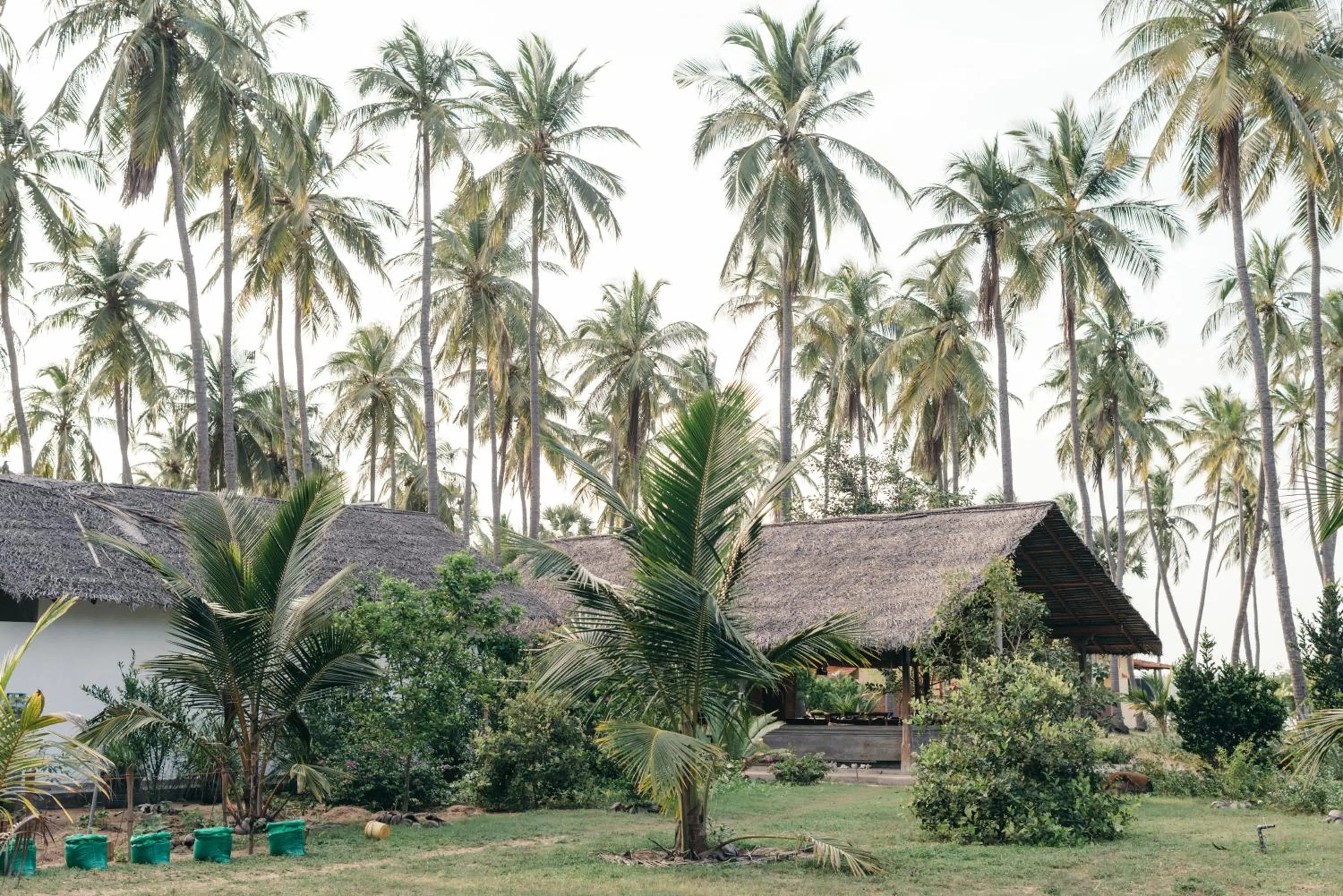 Restaurant/places to eat in Luna Laguna