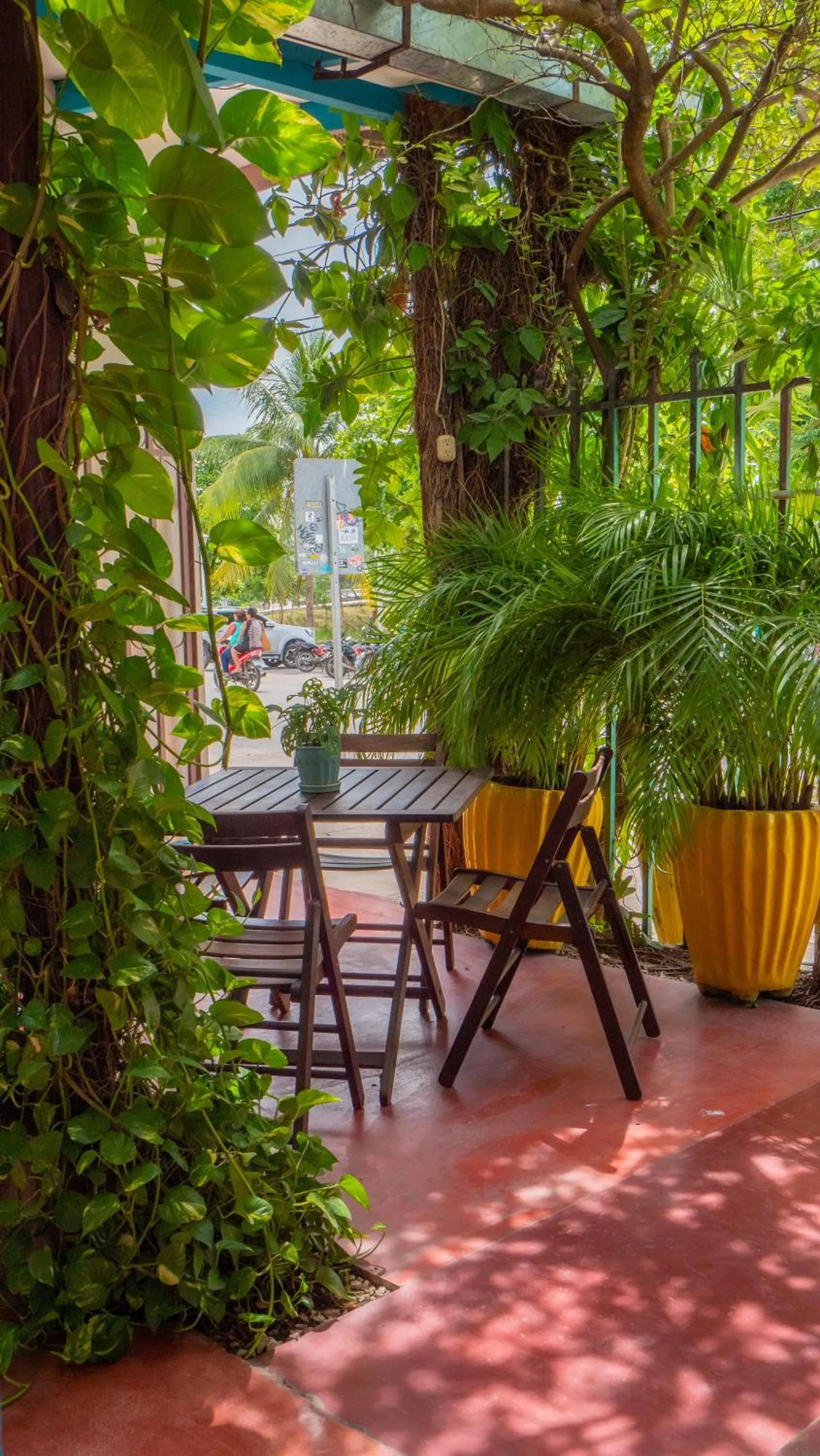 Restaurant/places to eat in Hotel Petenchel