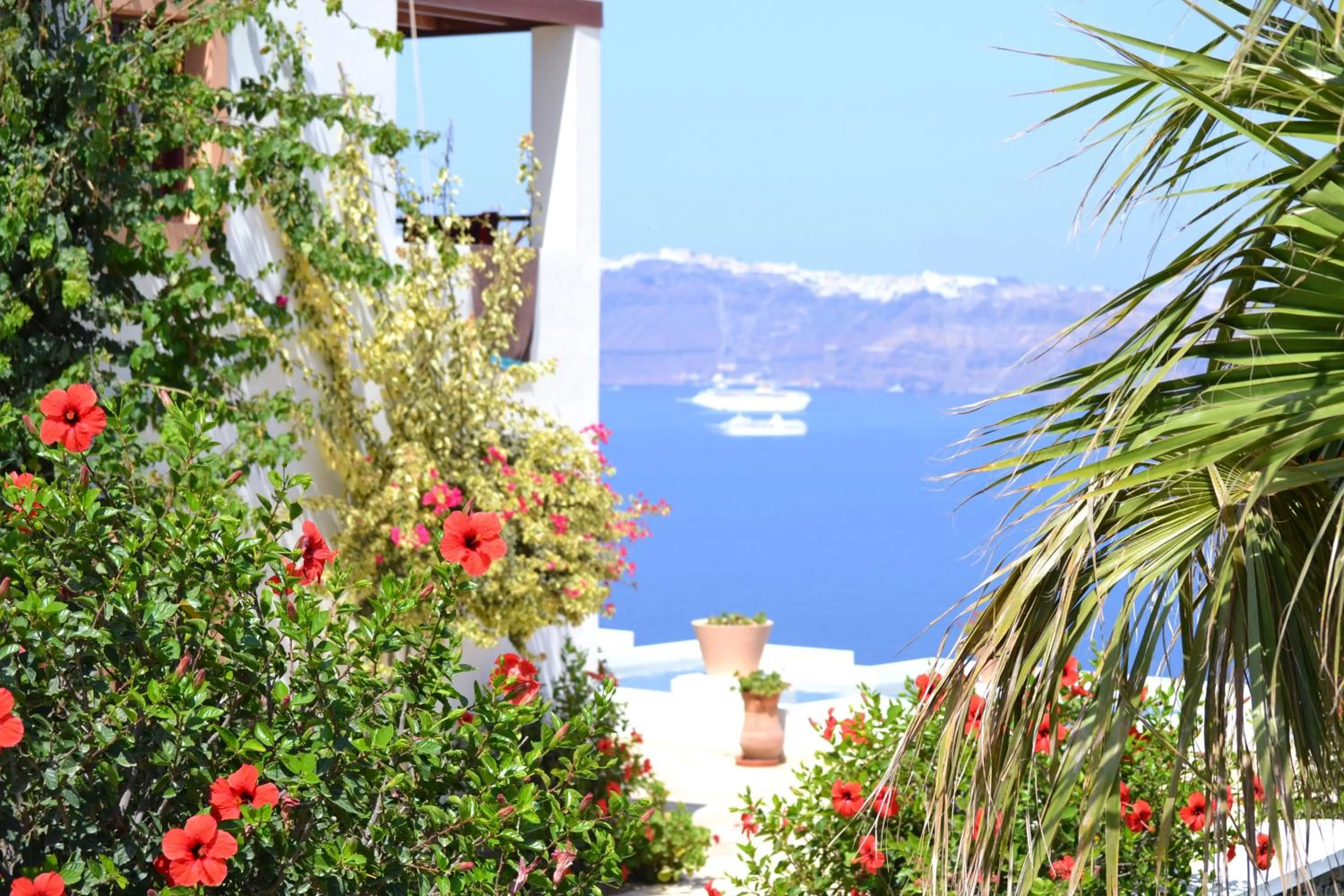 Garden in Maison Des Lys - Luxury Suites