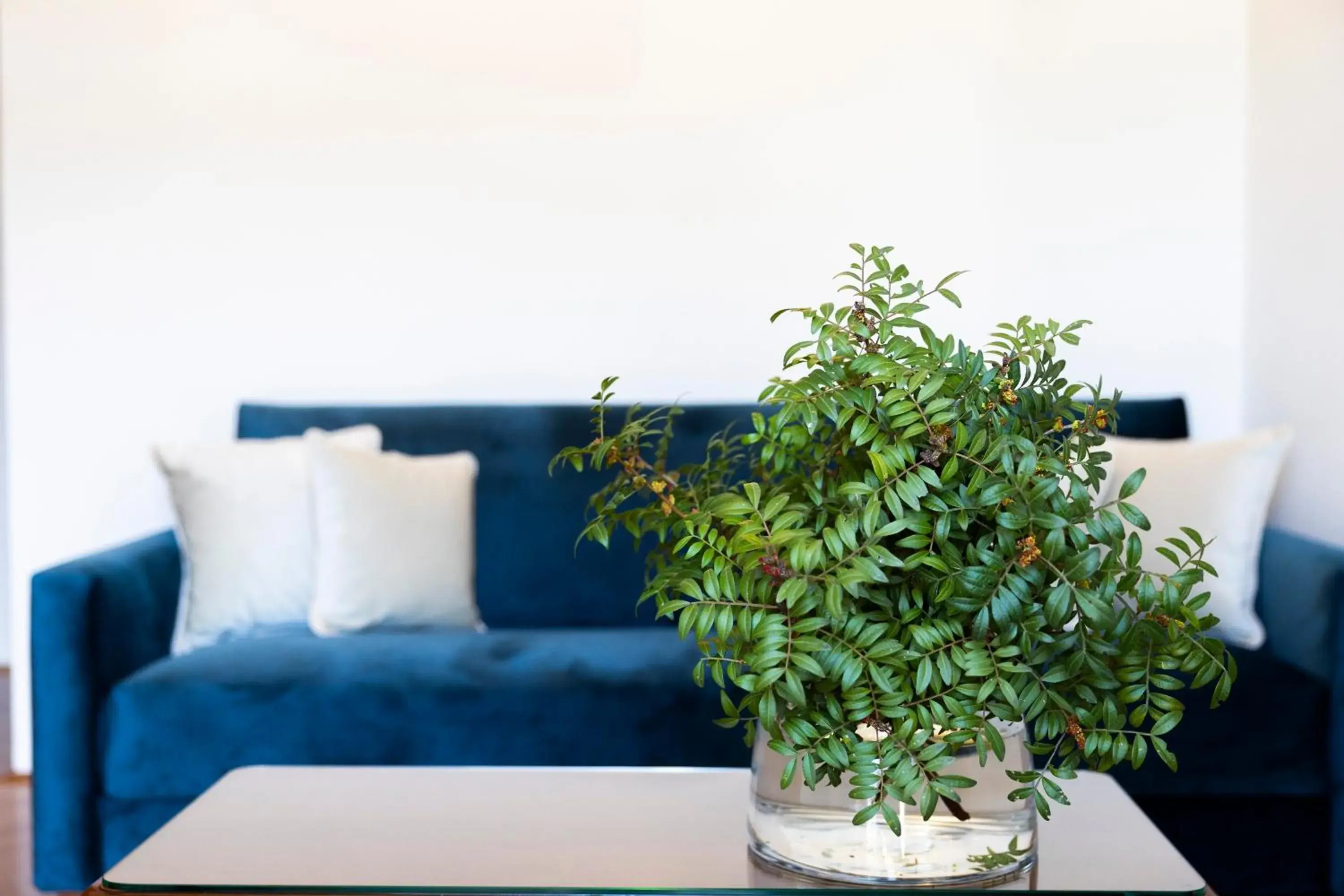 Living room in Heritage Hotel Tisno Living room in Heritage Hotel Tisno