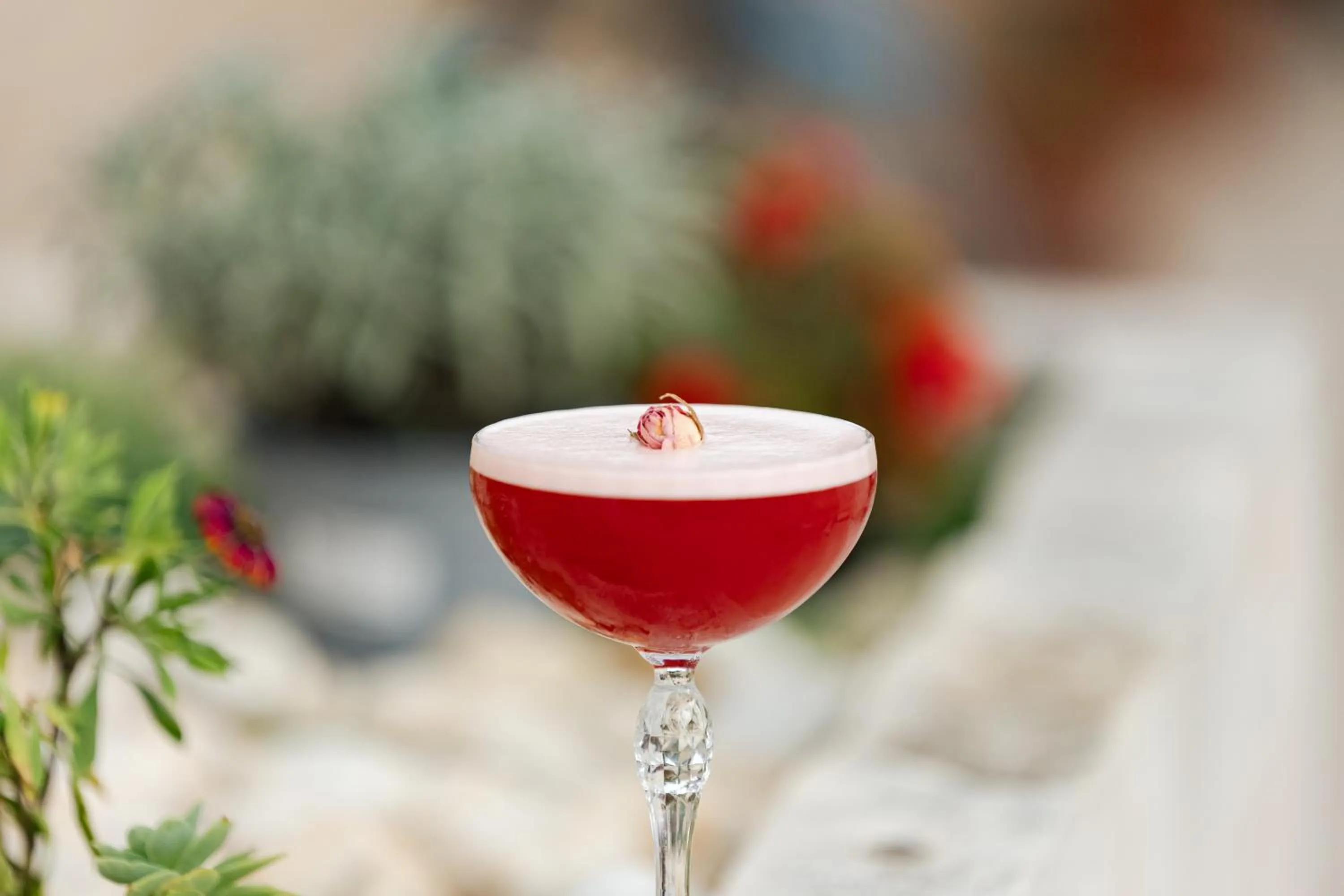 Drinks in Heritage Hotel Tisno