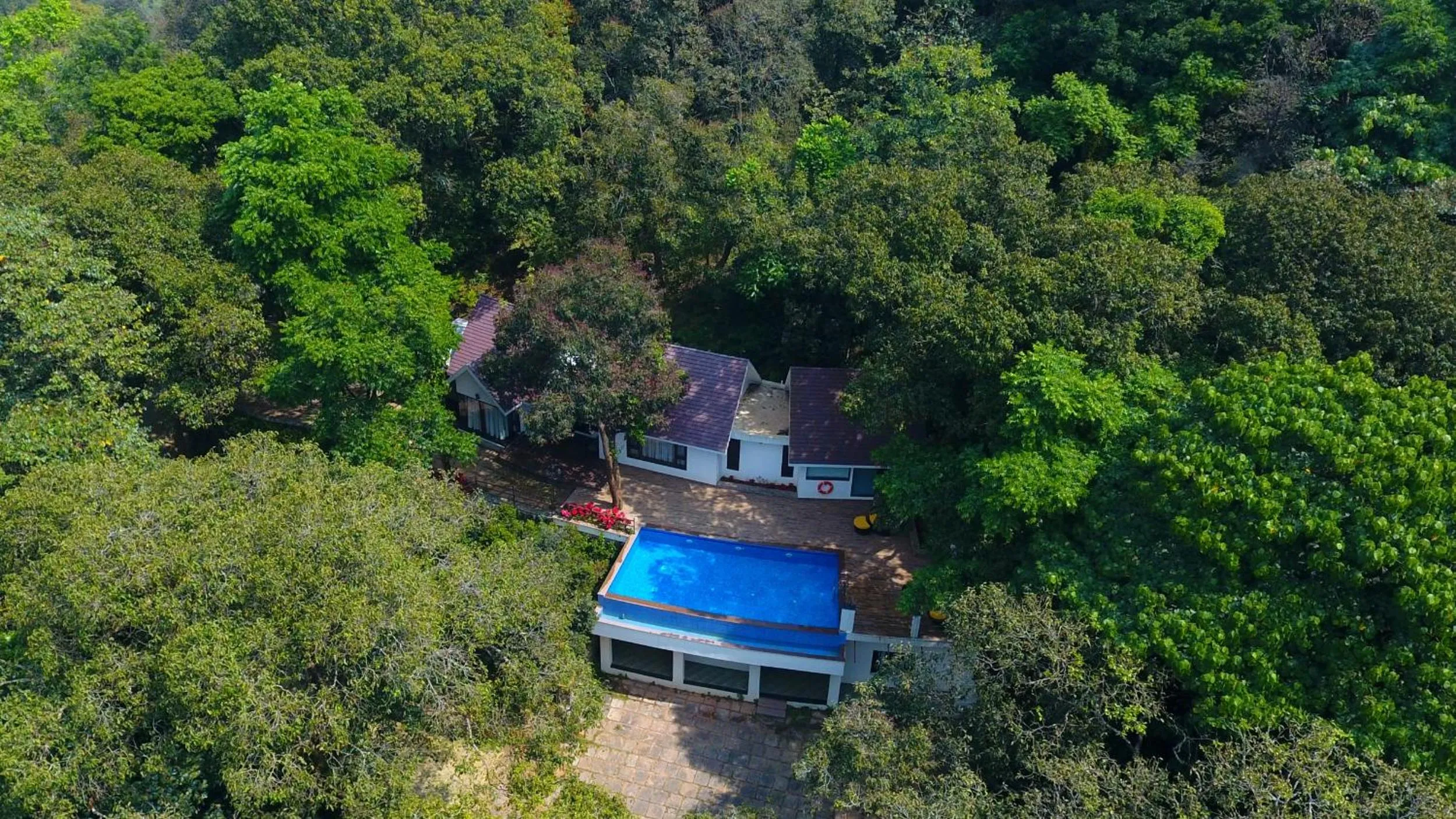 Pool view in The IBNII - Eco Luxury Resort