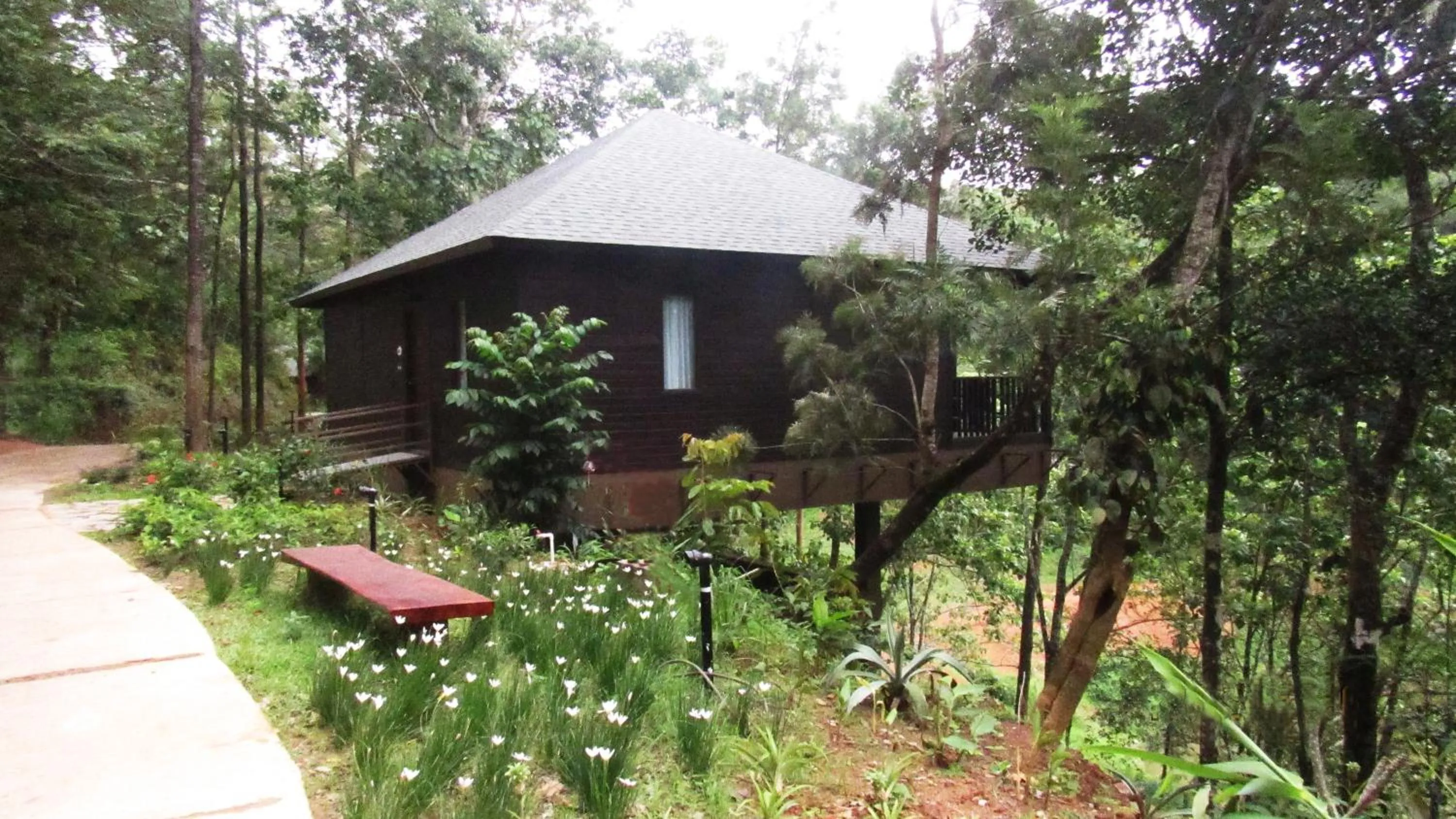 Spring in The IBNII - Eco Luxury Resort