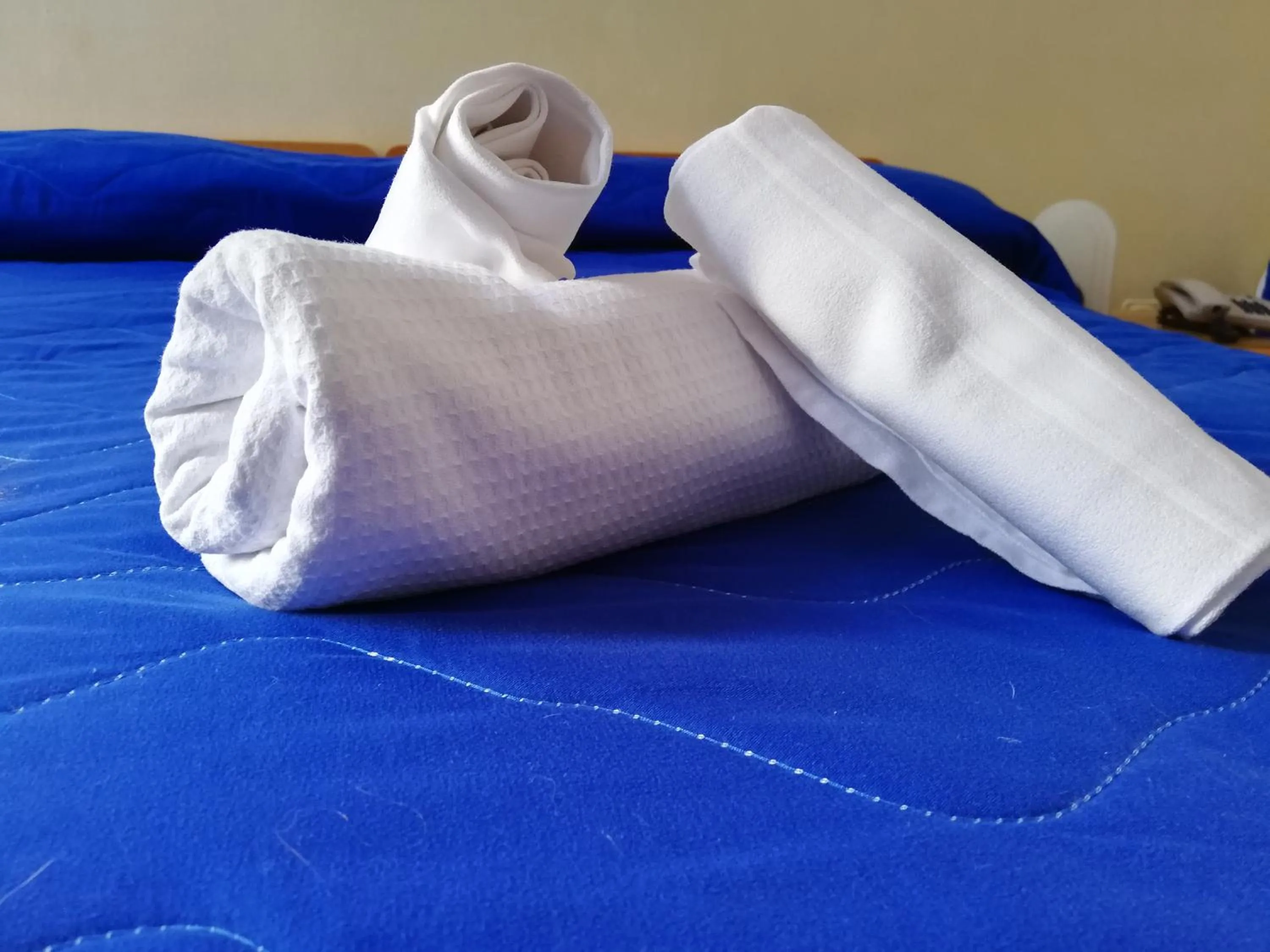 Bed in Hotel Santuario