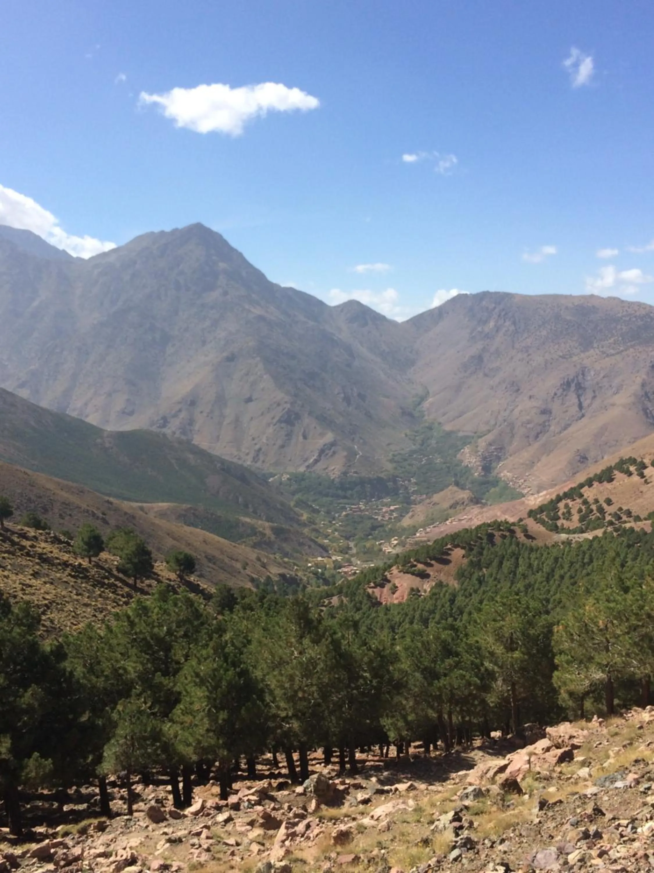 Natural landscape in Riad See Moon And Spa
