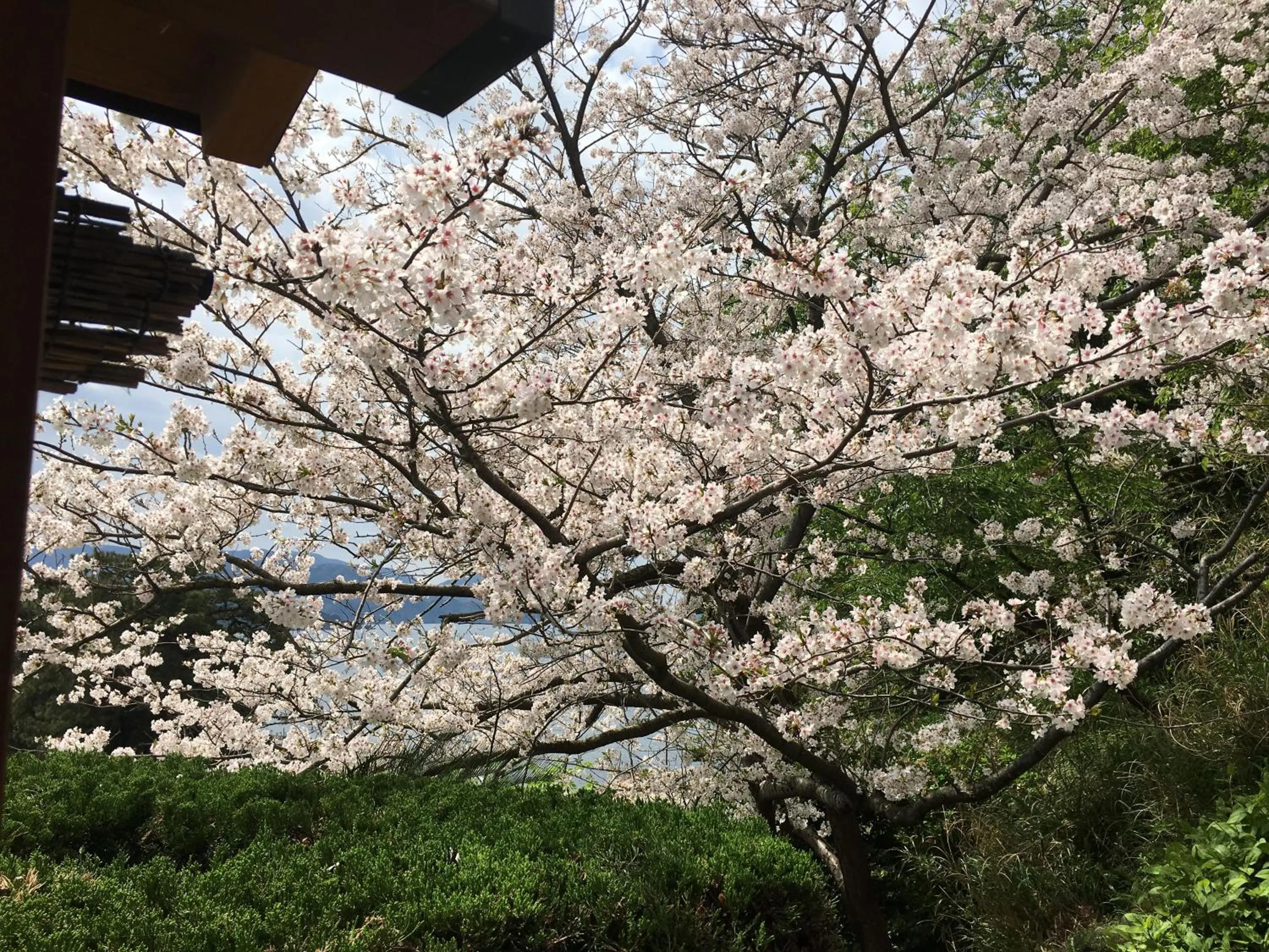 Spring in Dogashima Onsen Hotel