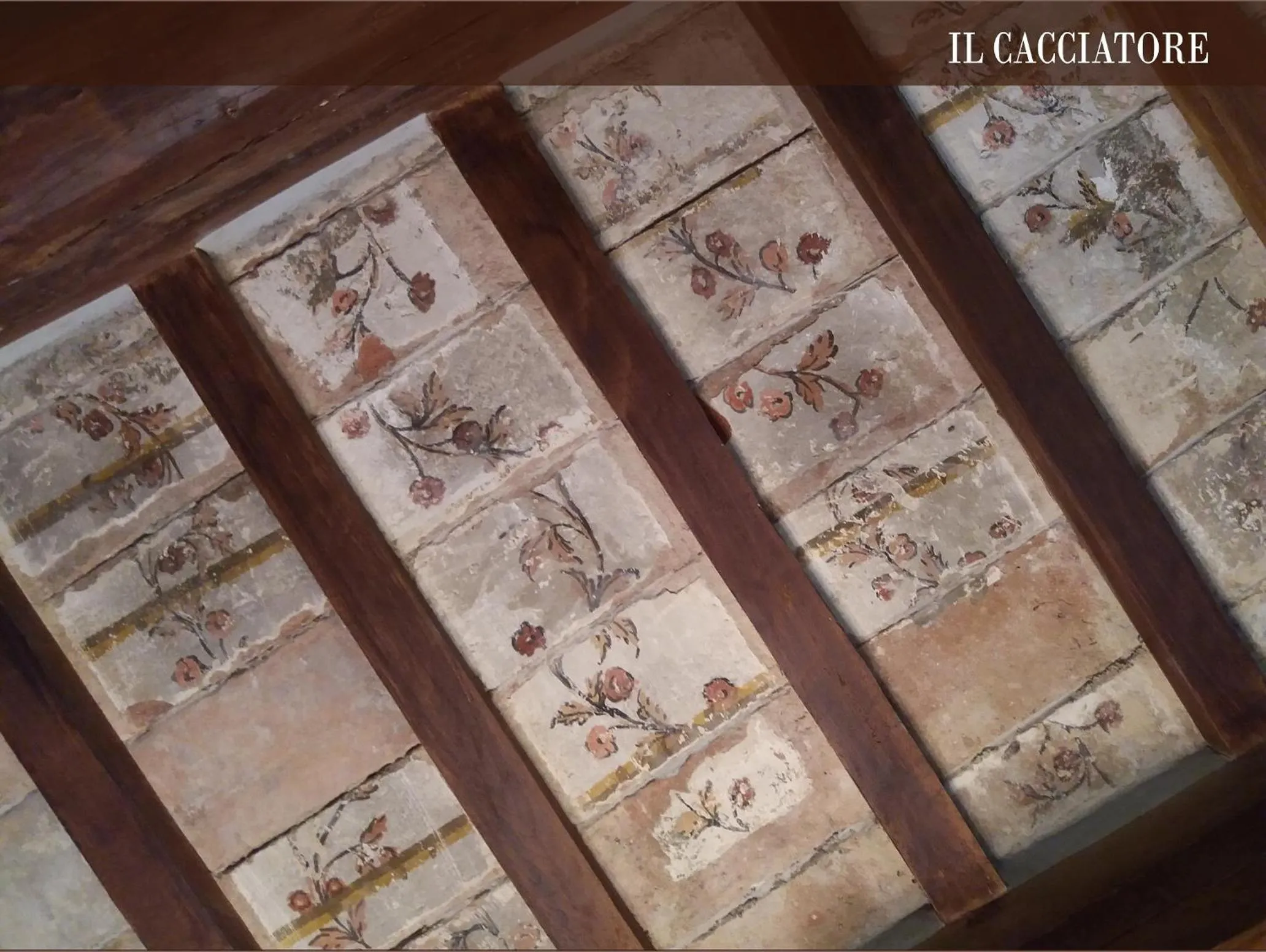 Decorative detail in Vescovado 7