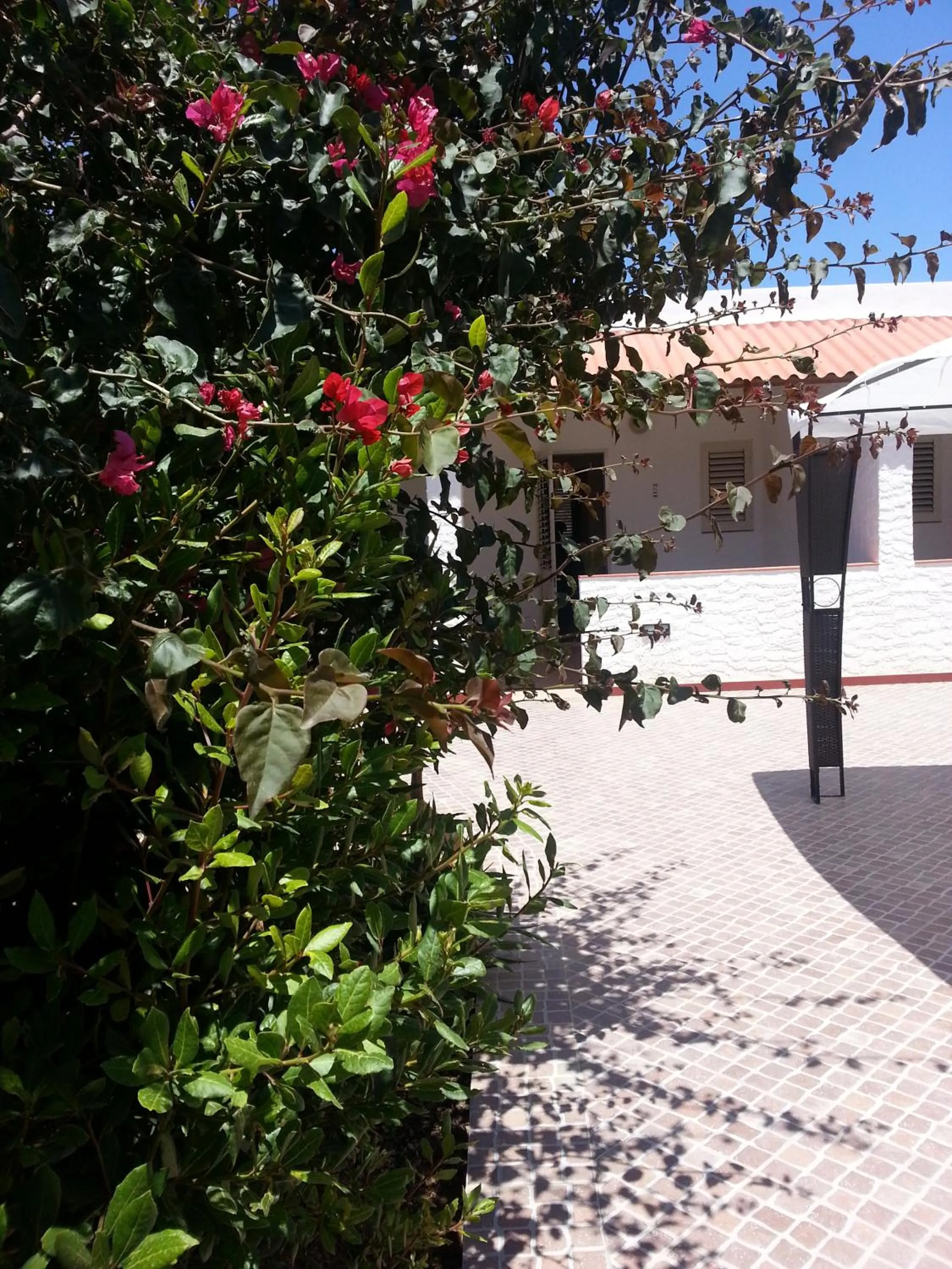 Property building in Residence Agave Lampedusa