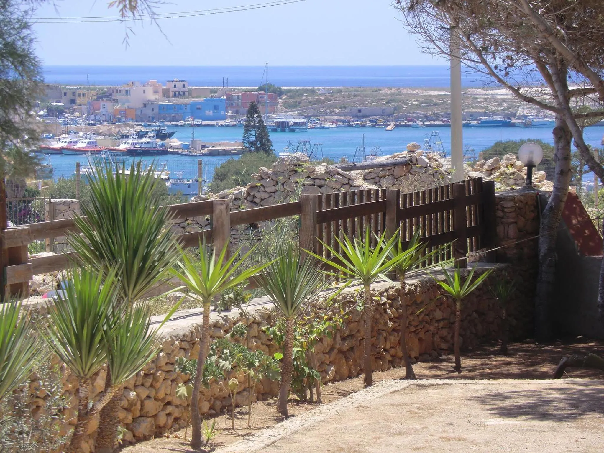 Garden in Residence Agave Lampedusa