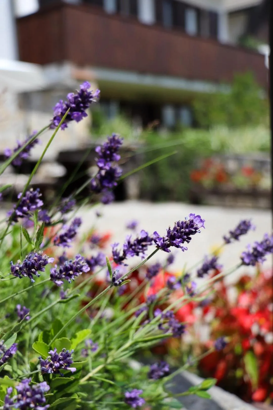 Property building in Etno Garden Apartments