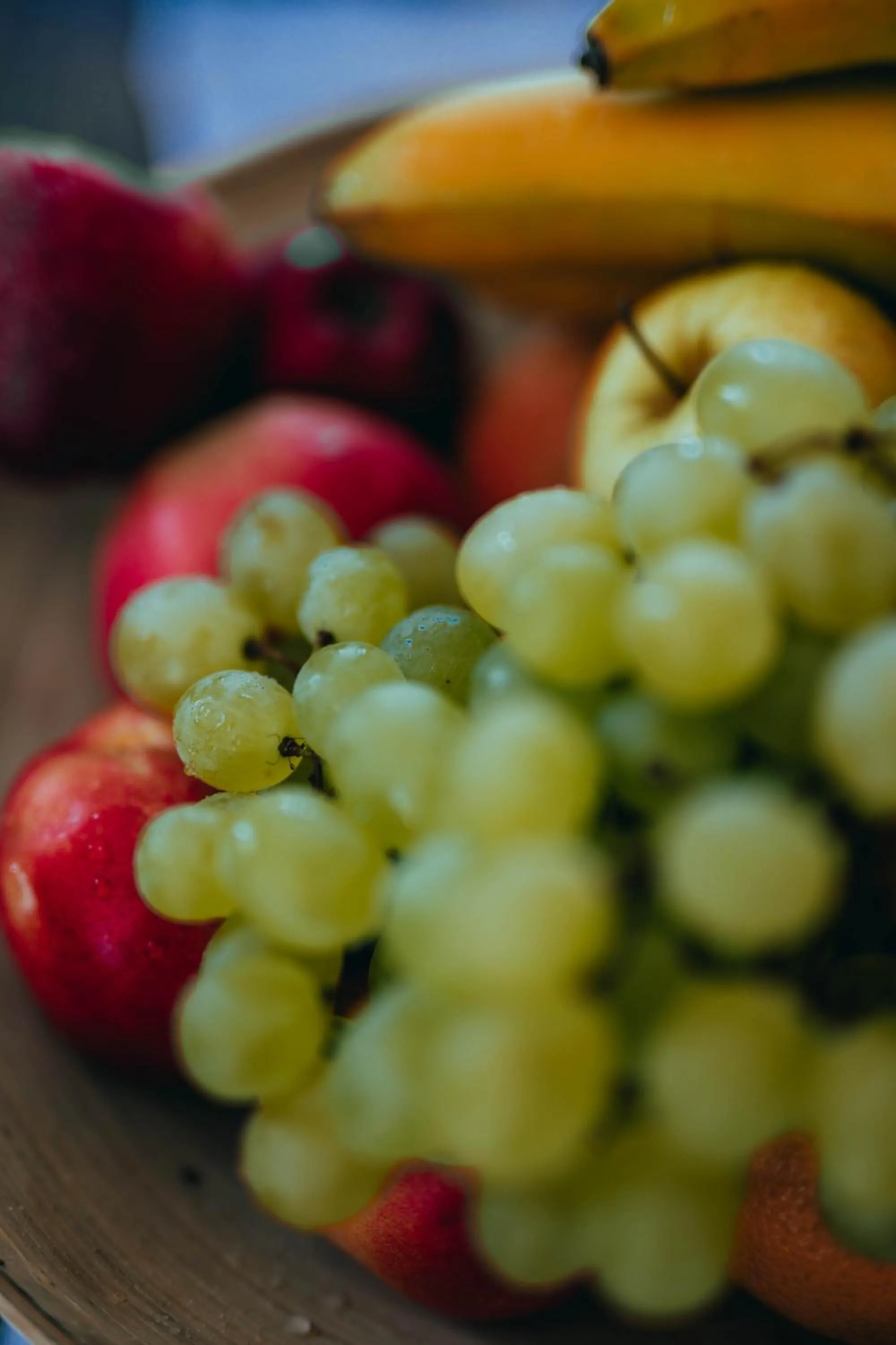 Food close-up in Etno Garden Apartments