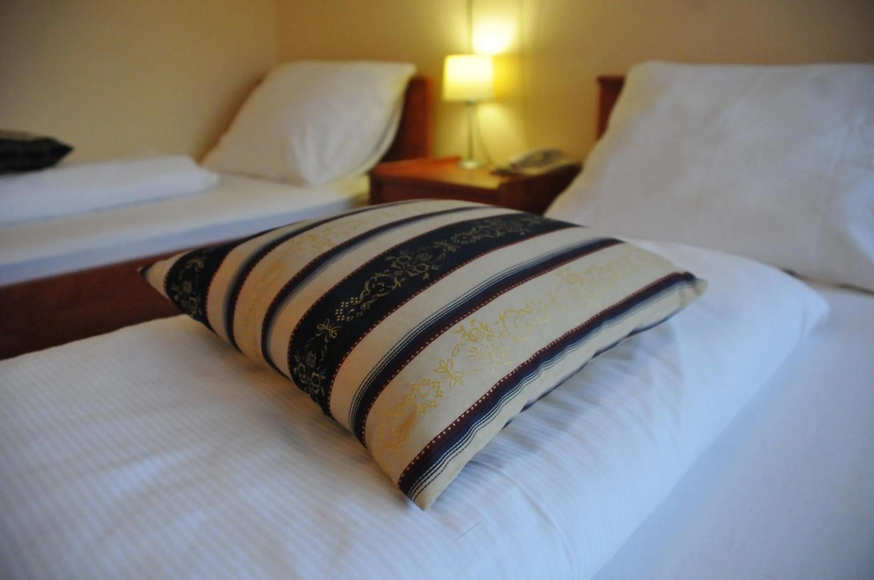 Single Room in Hotel Galerija