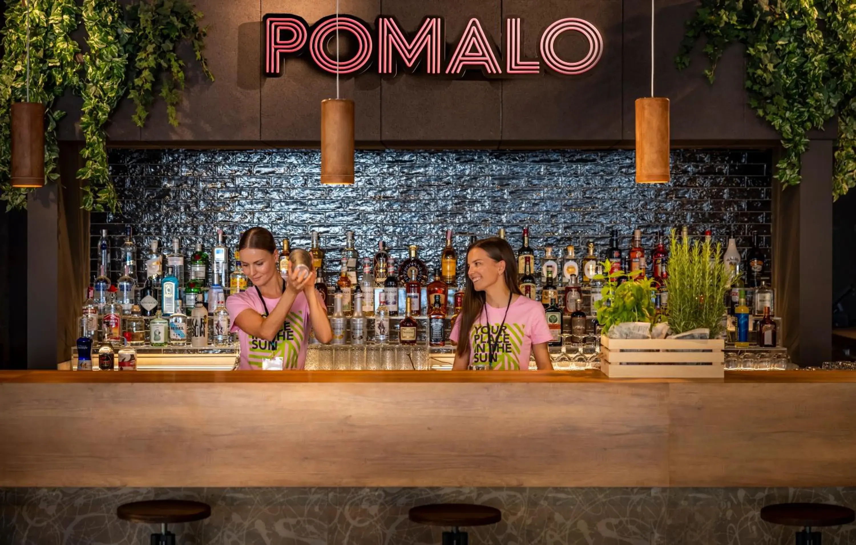 Lounge or bar in PLACES Dalmacija by Valamar Lounge or bar in PLACES Dalmacija by Valamar