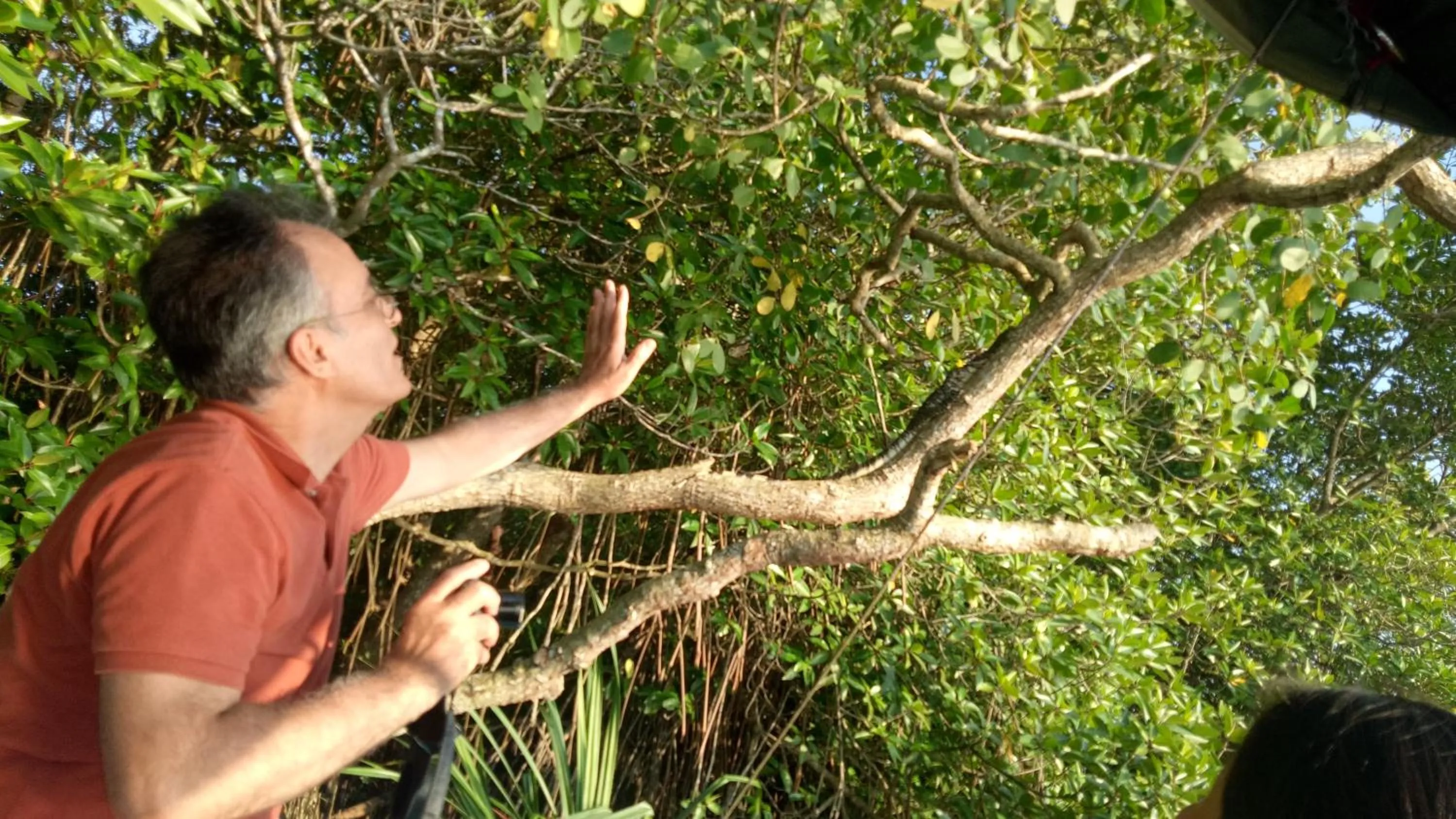 Natural landscape in Mahi Villa