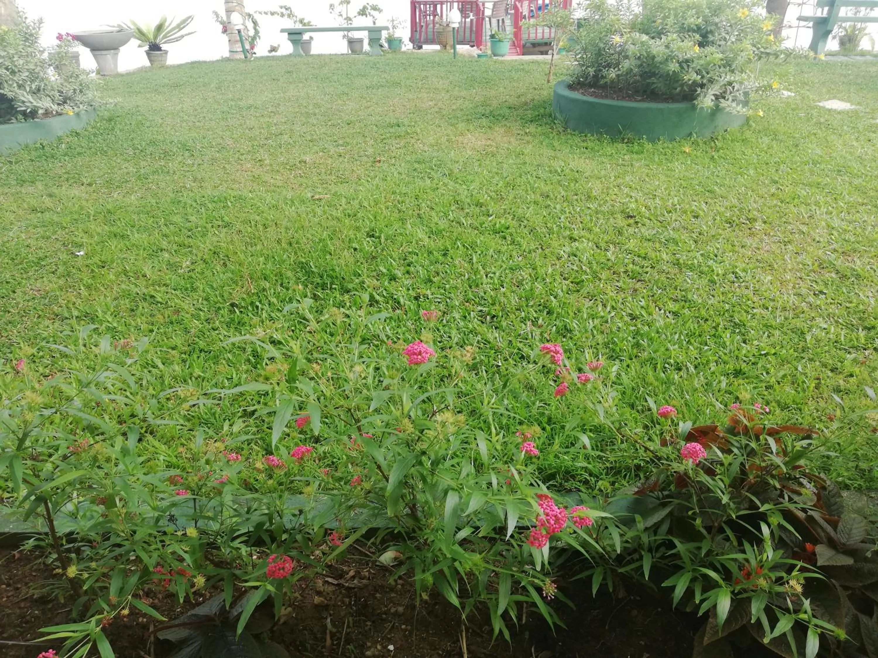 Natural landscape in Mahi Villa