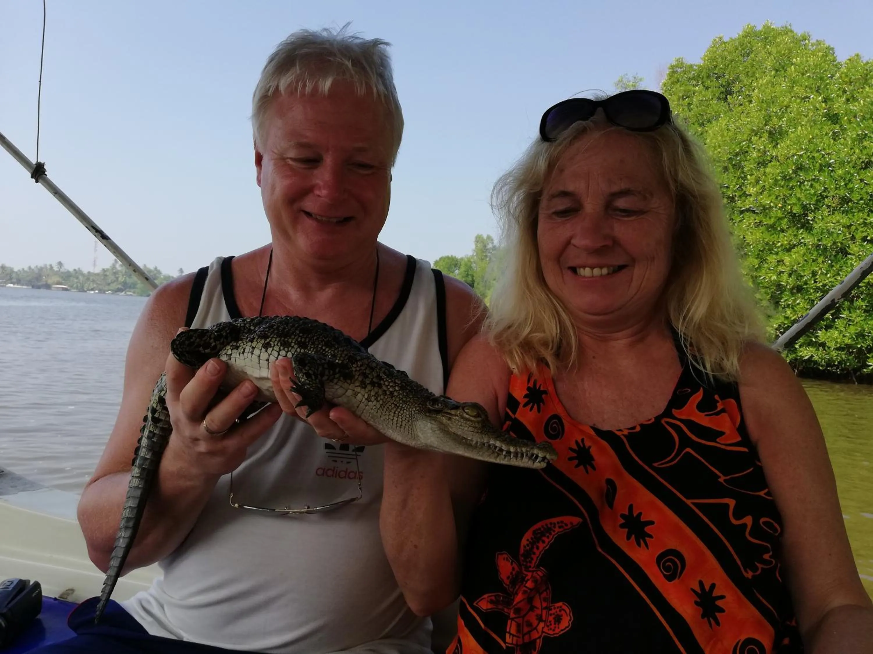 Animals in Mahi Villa