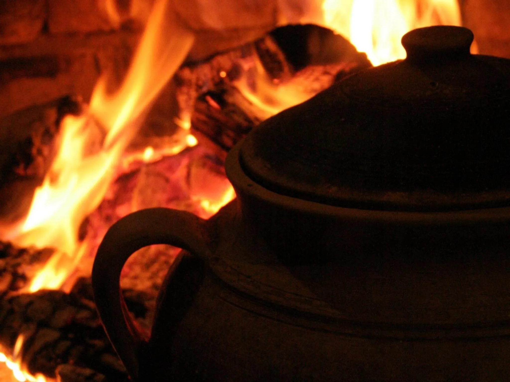 Food and drinks in Apartments Vrata Baranje