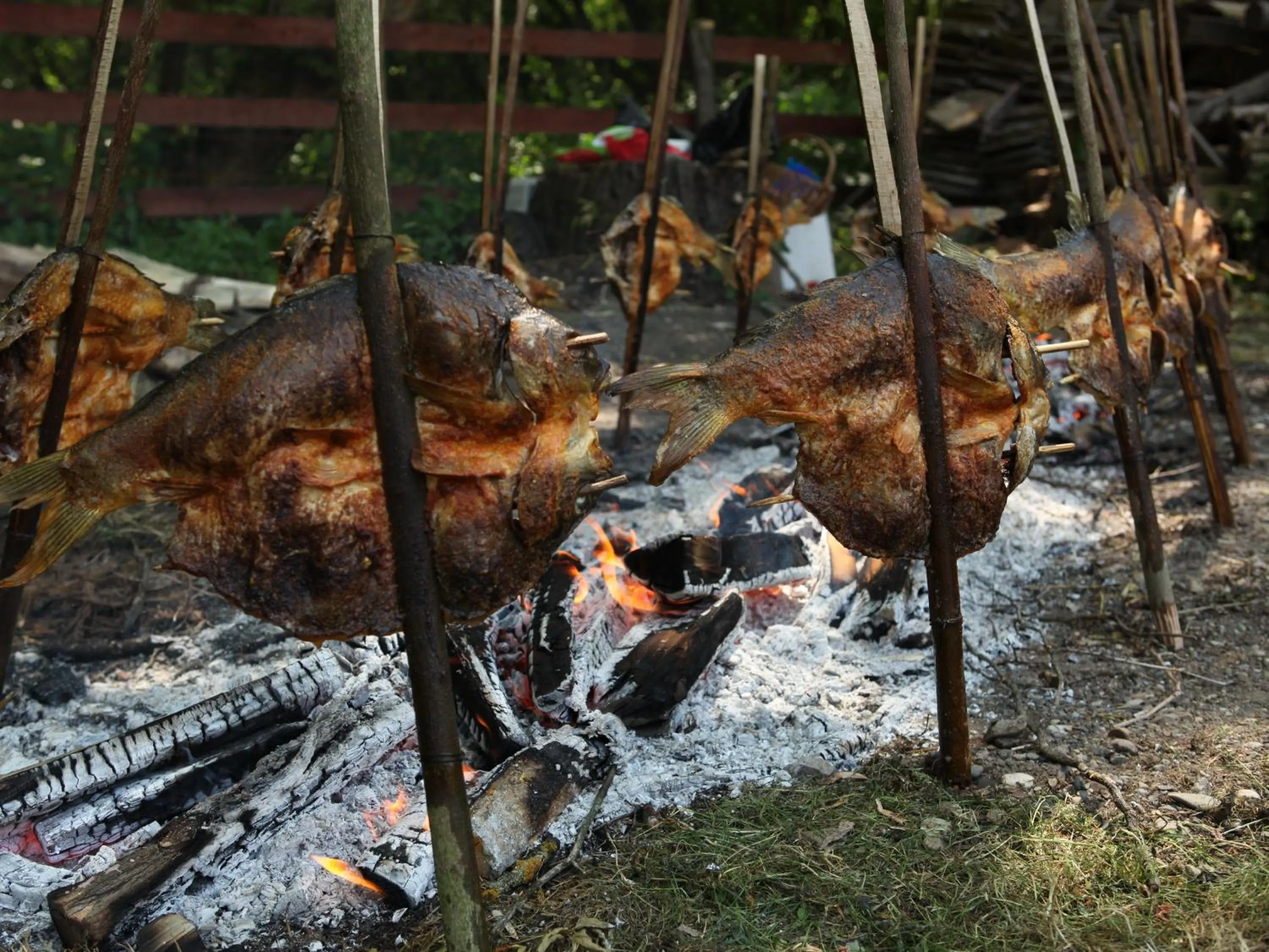 Food and drinks in Apartments Vrata Baranje