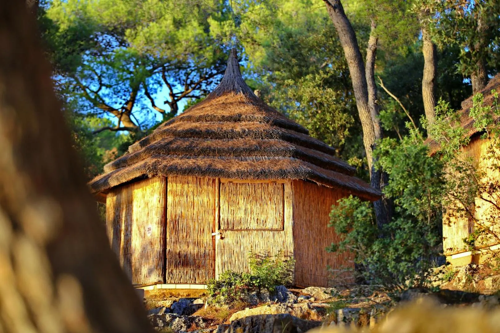 Photo of the whole room in Pine Beach Pakostane - All Inclusive light