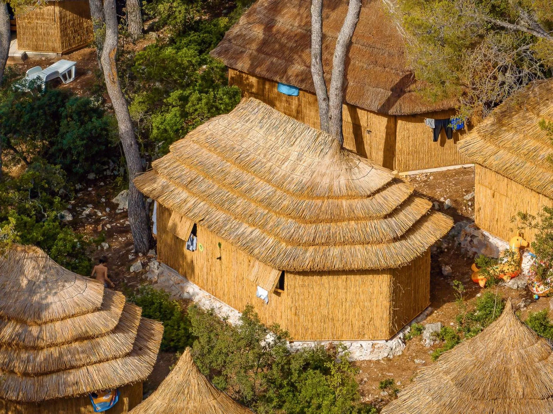 View (from property/room) in Pine Beach Pakostane - All Inclusive light