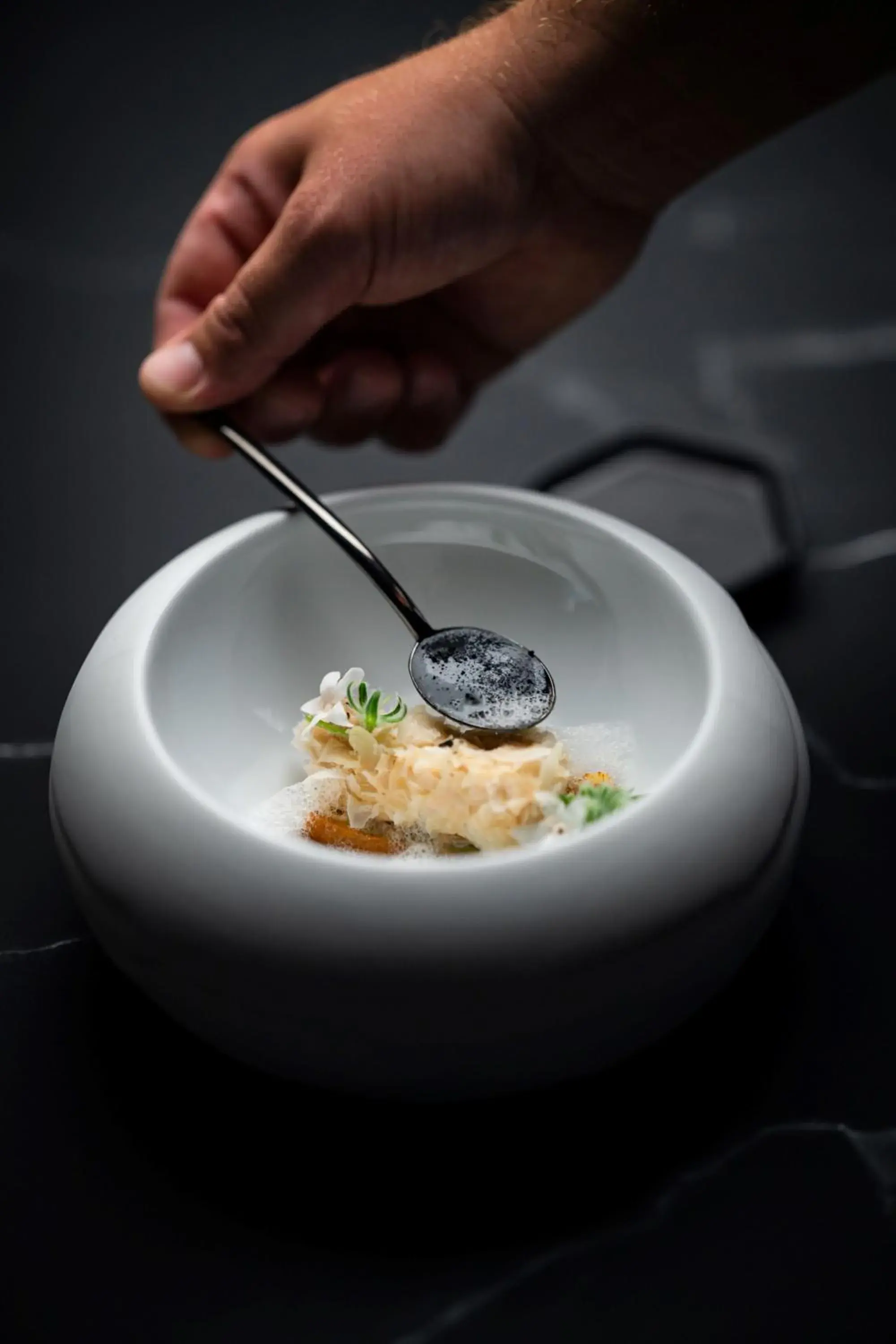 Restaurant/places to eat in Valamar Riviera Hotel & Residence Restaurant/places to eat in Valamar Riviera Hotel & Residence