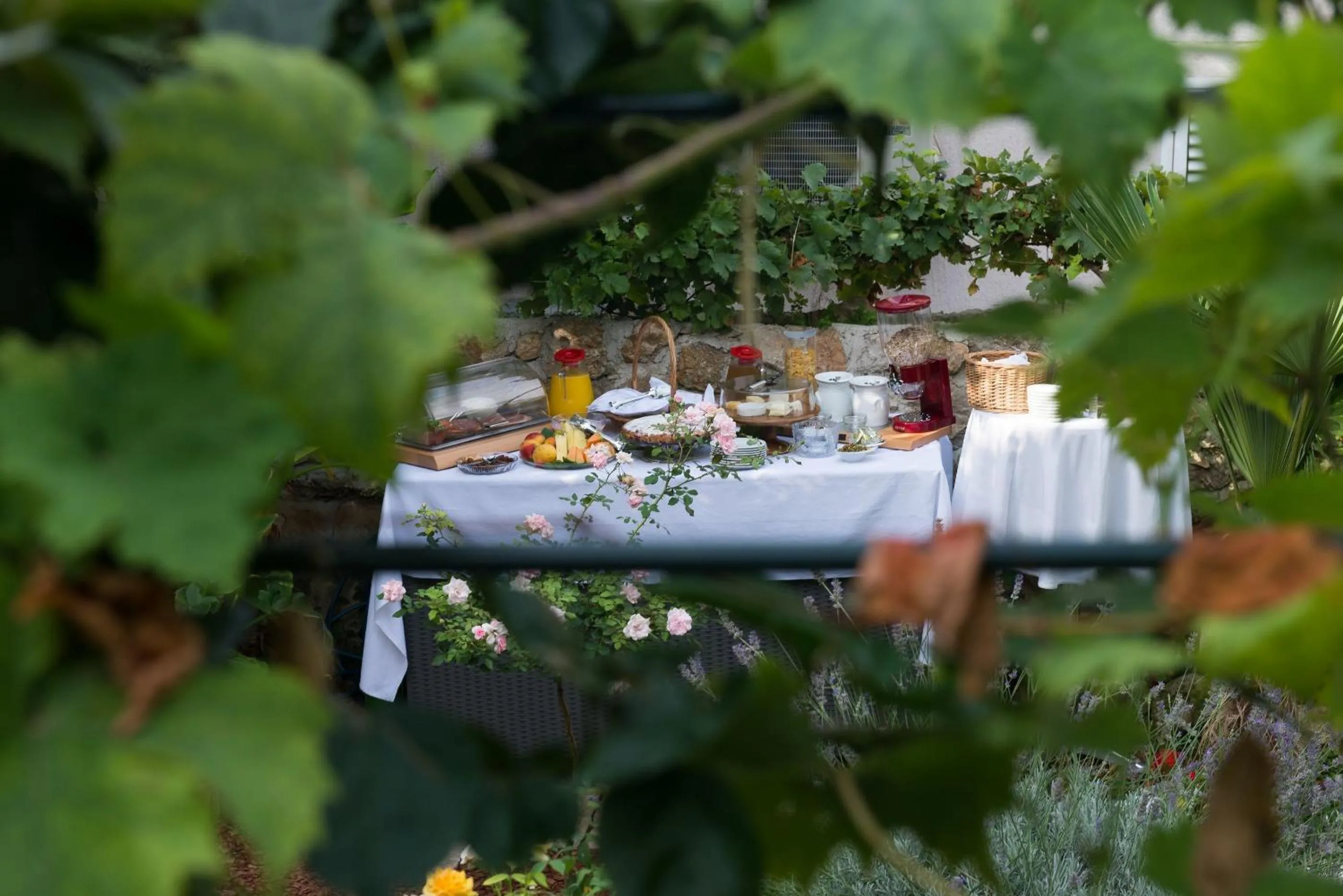 Food in B&B Villa Dubrovnik Garden